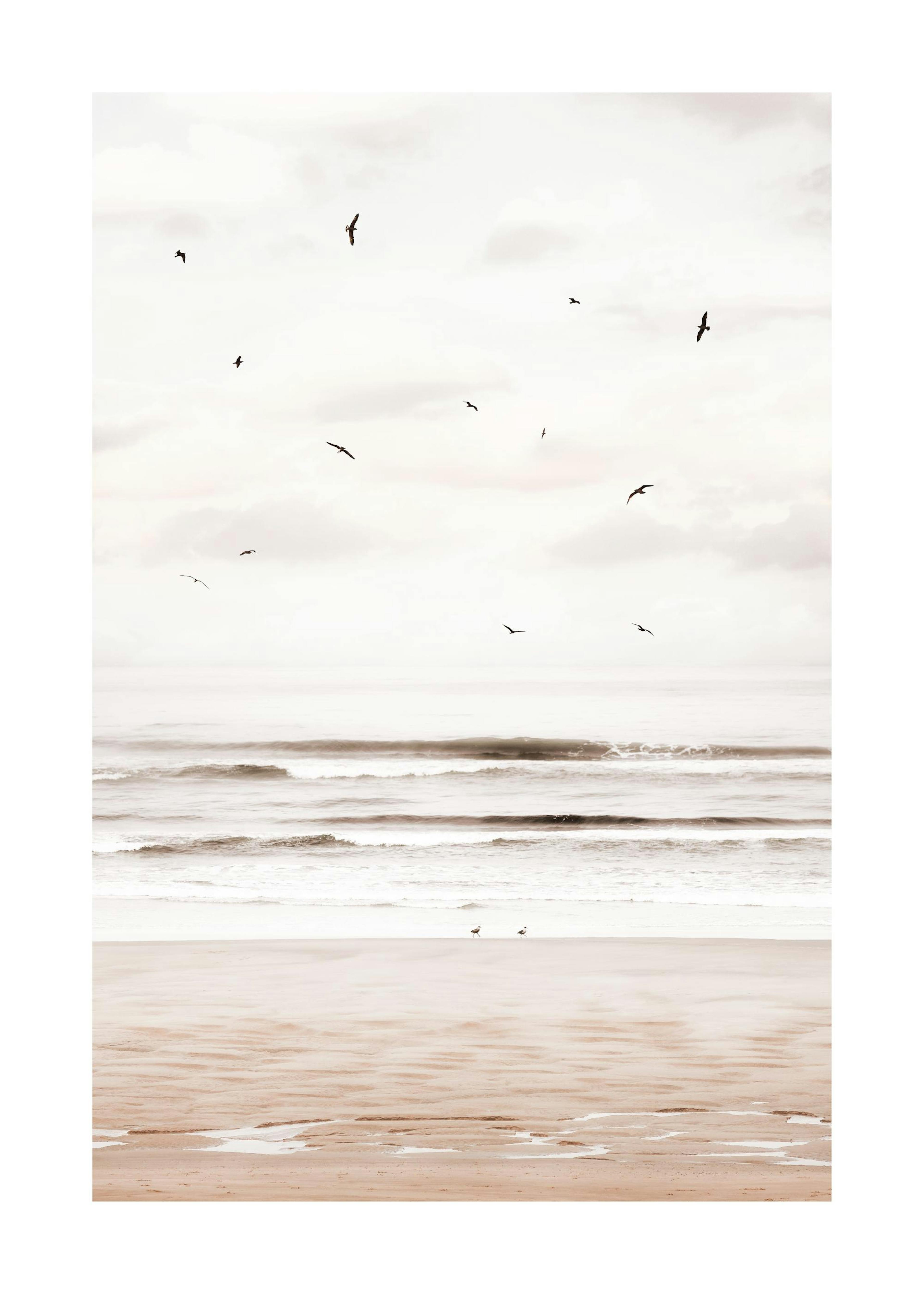 Cannon Strand Poster 0