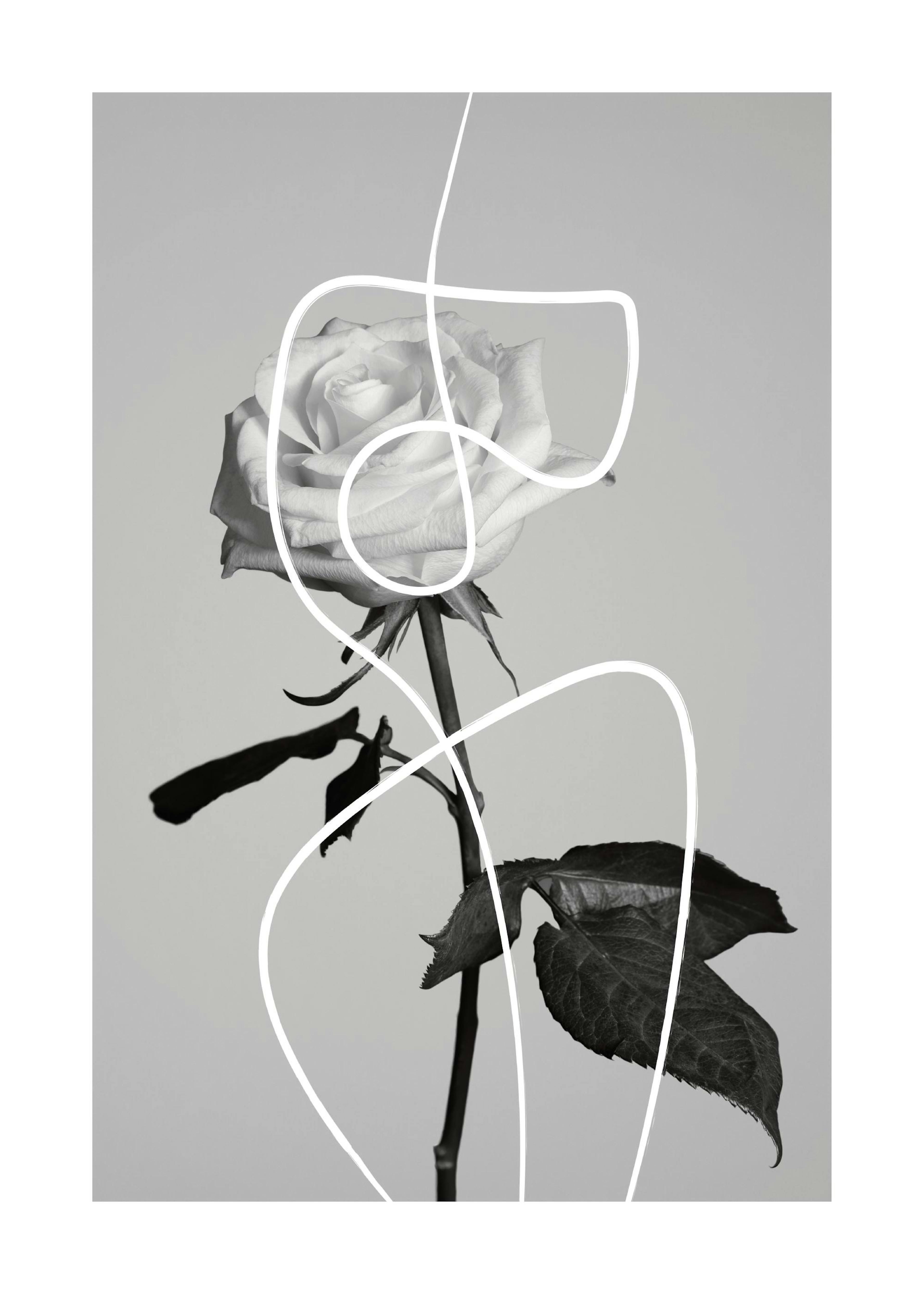 Póster de una rosa en blanco y negro con líneas blancas abstractas, colgado sobre una cama en un dormitorio decorado en tonos ne