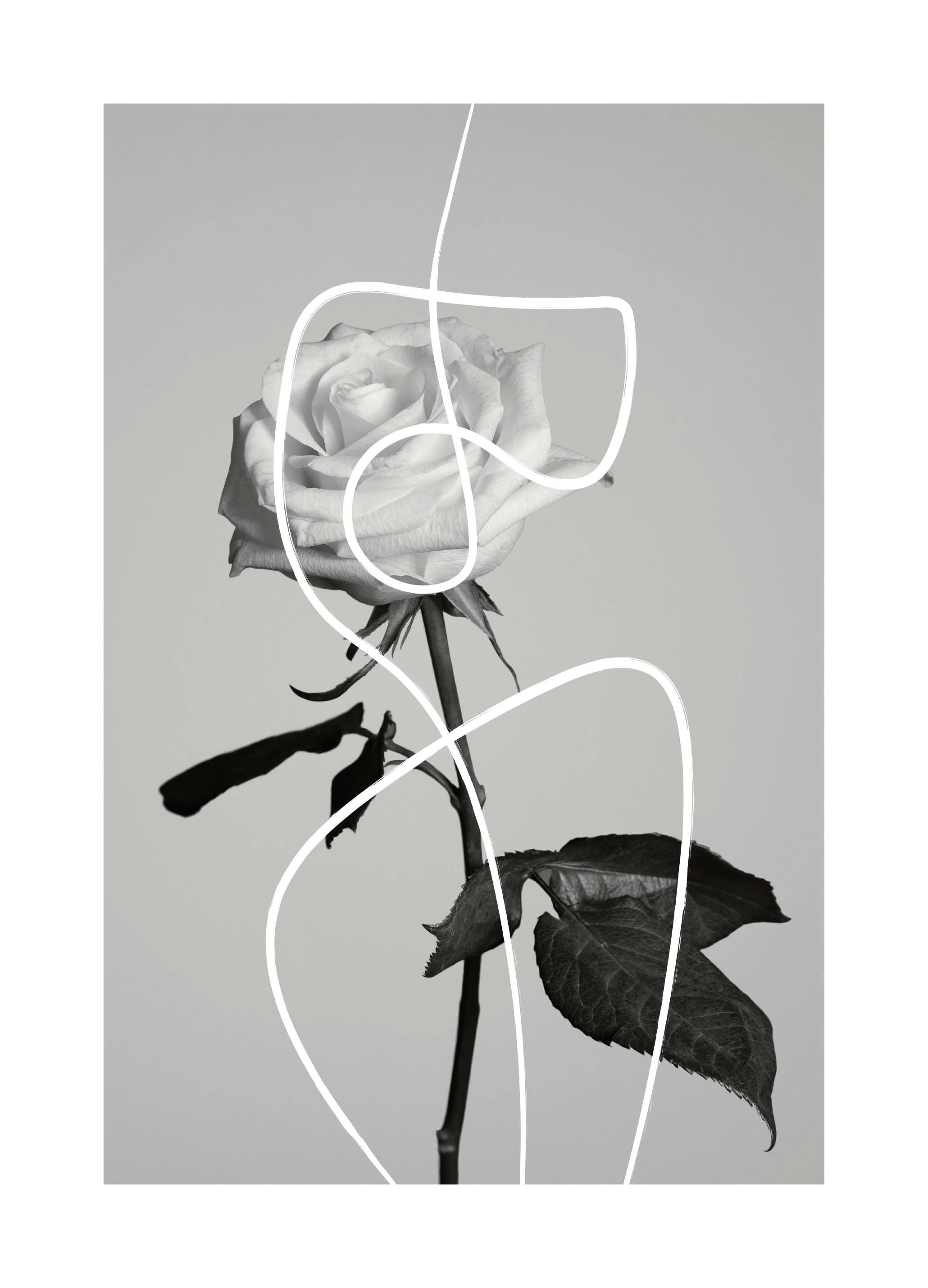 Flower Shapes Poster (30x40 cm) - Poster Store