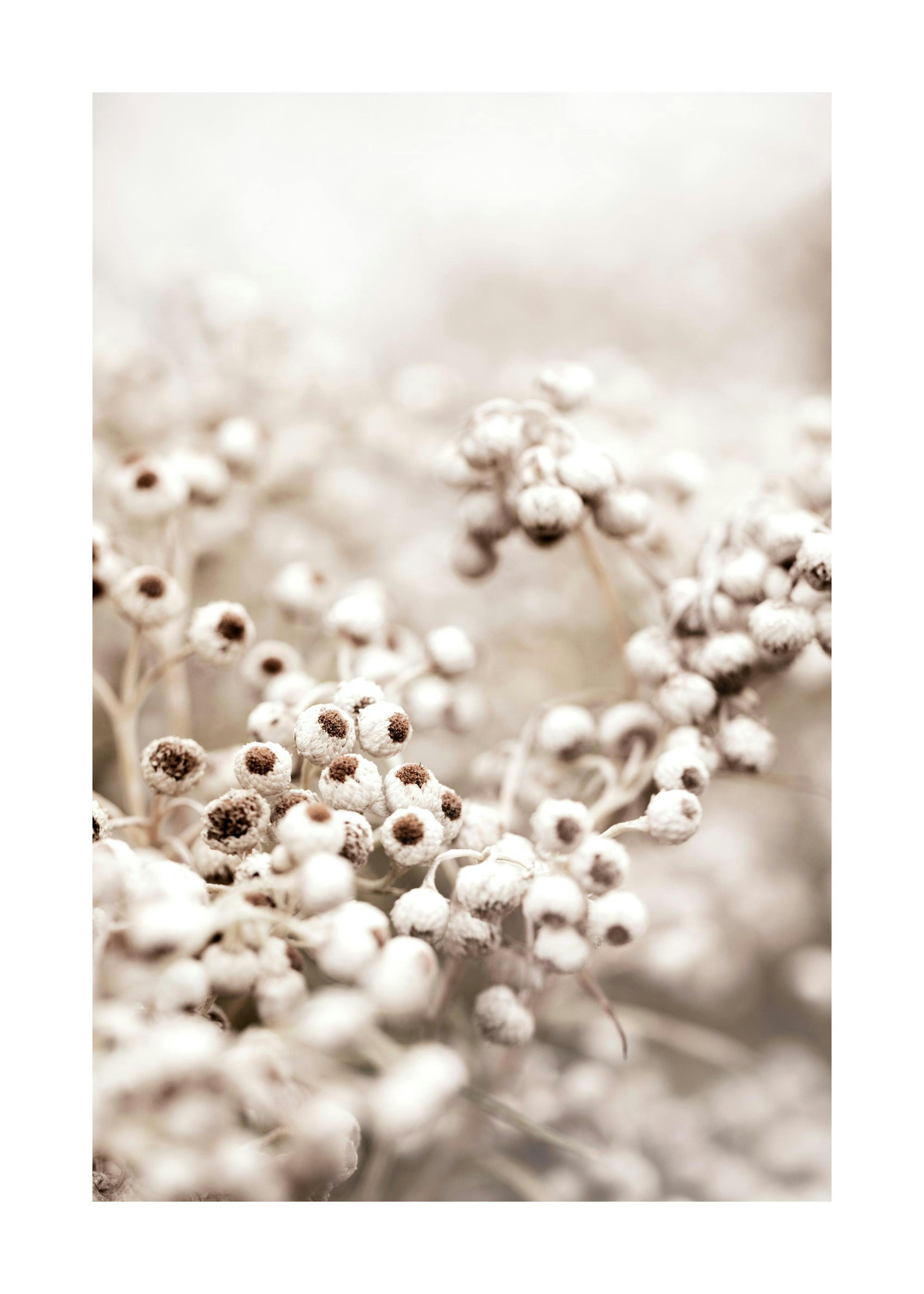 Product image: 1