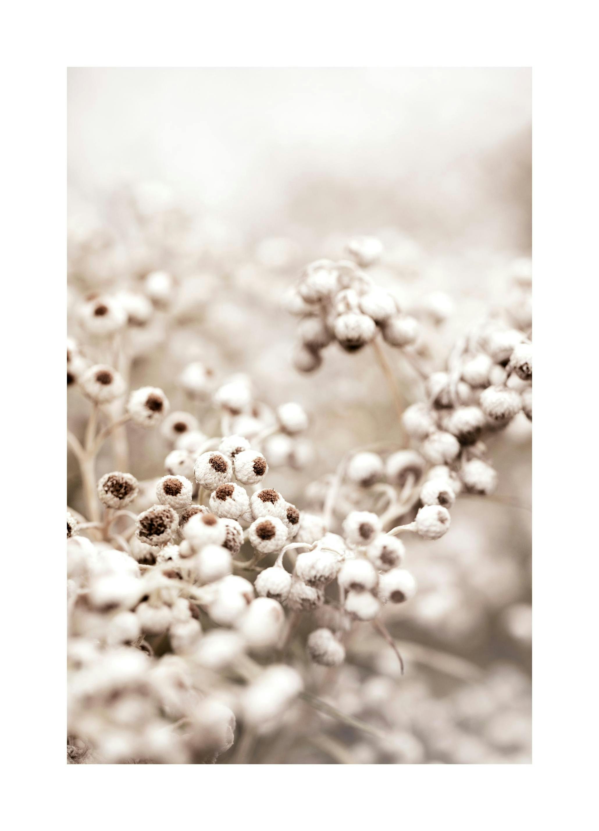 Beige Botanisch Bokeh No1 Poster (50x70 cm) - Poster Store