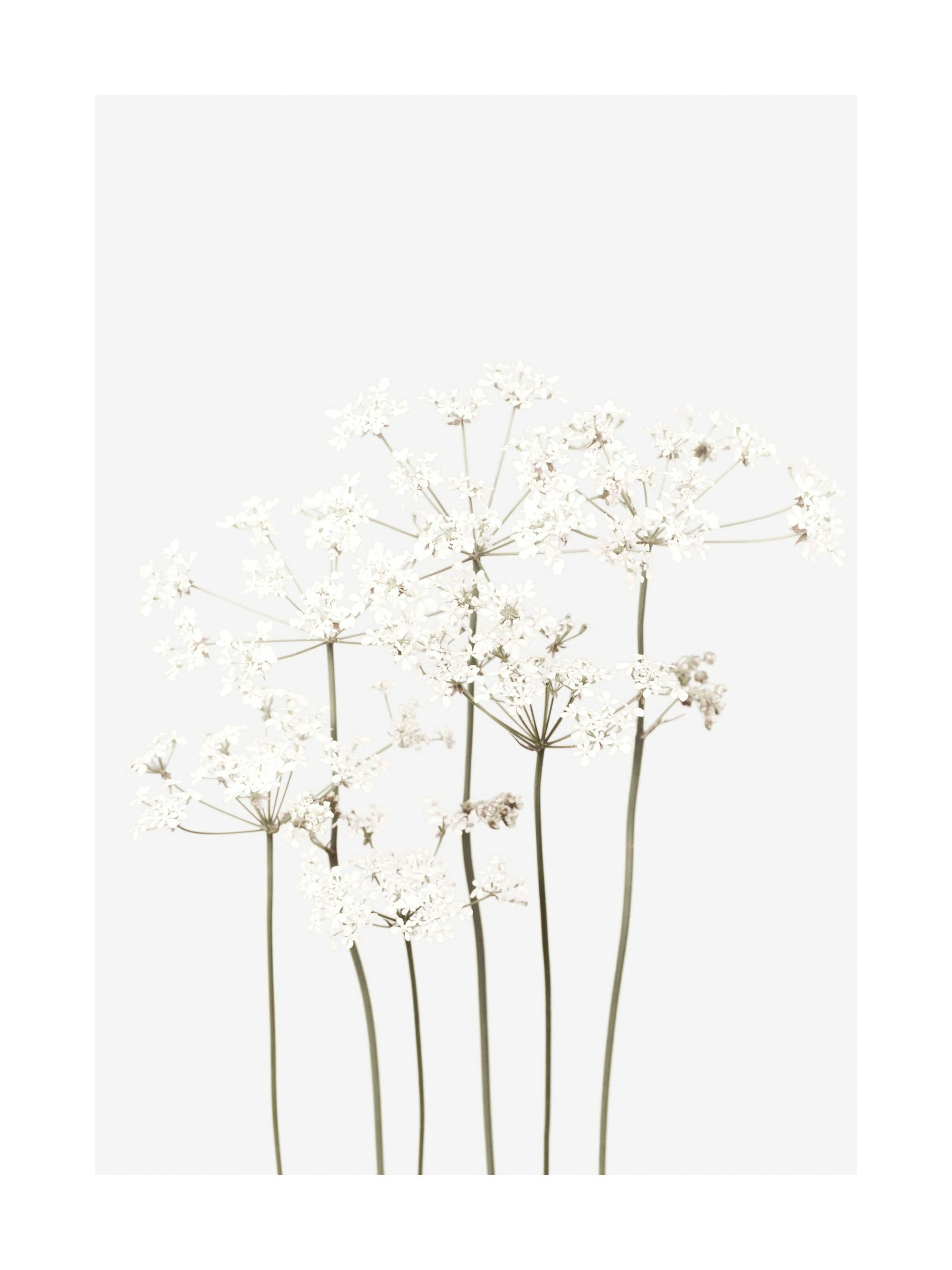 Product image: 1
