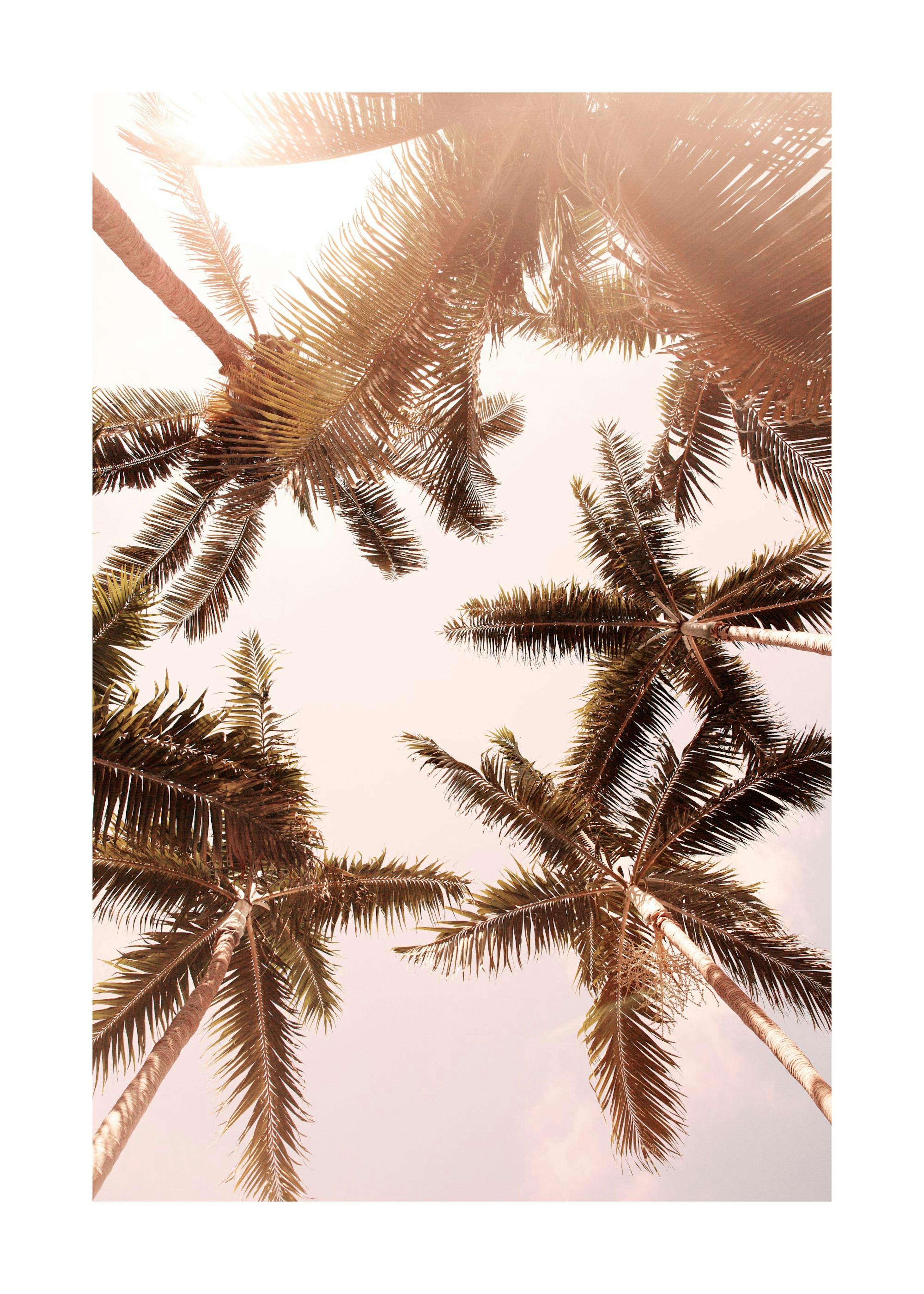 Product image: 1