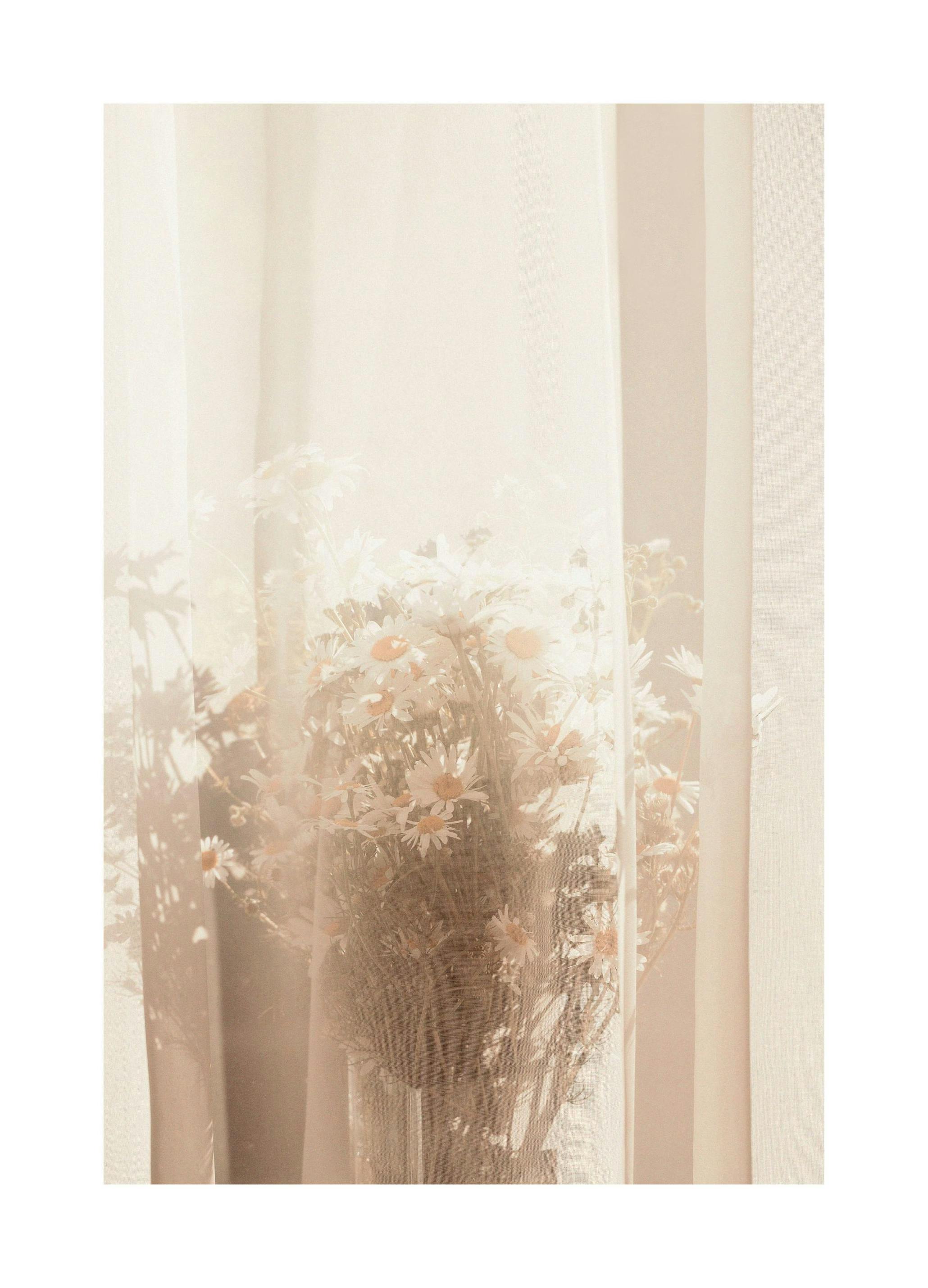 Bak Forhenget Plakat (50x70 cm) - Poster Store