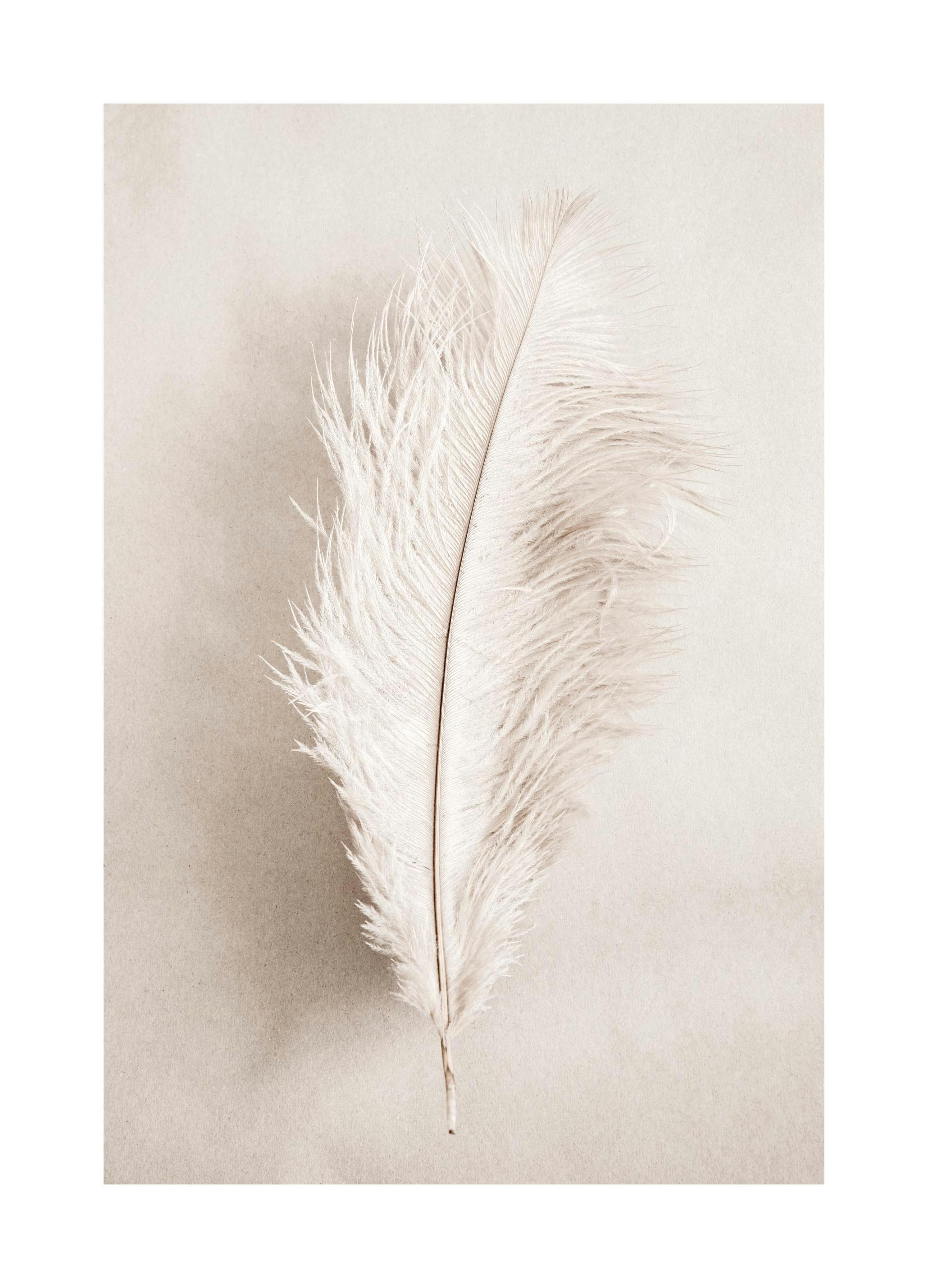 As a Feather Poster (70x100 cm) - Poster Store
