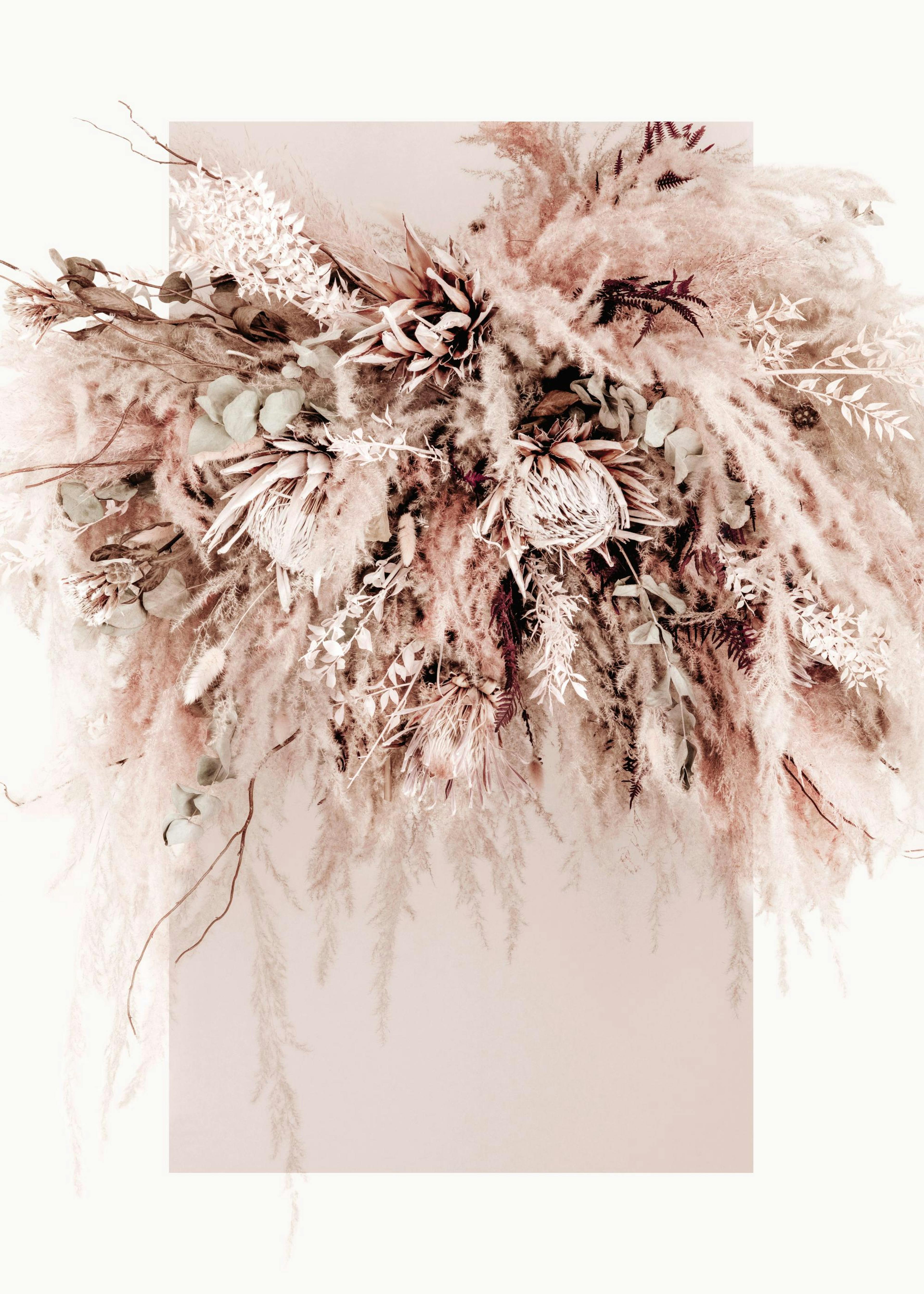 Dried Dream Pink No2 Plakat 0