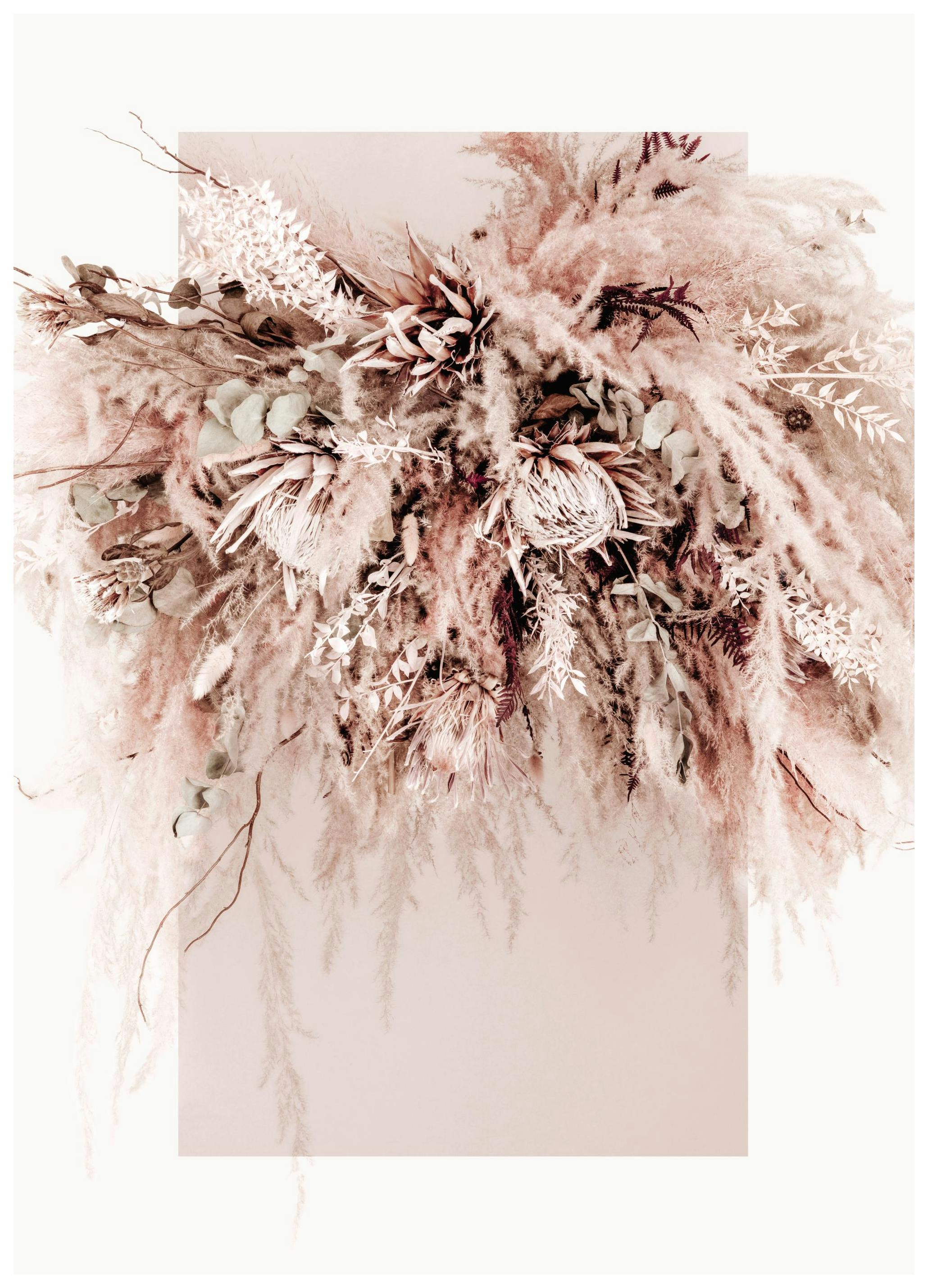 Dried Dream Pink No2 Poster (50x70 cm) - Poster Store