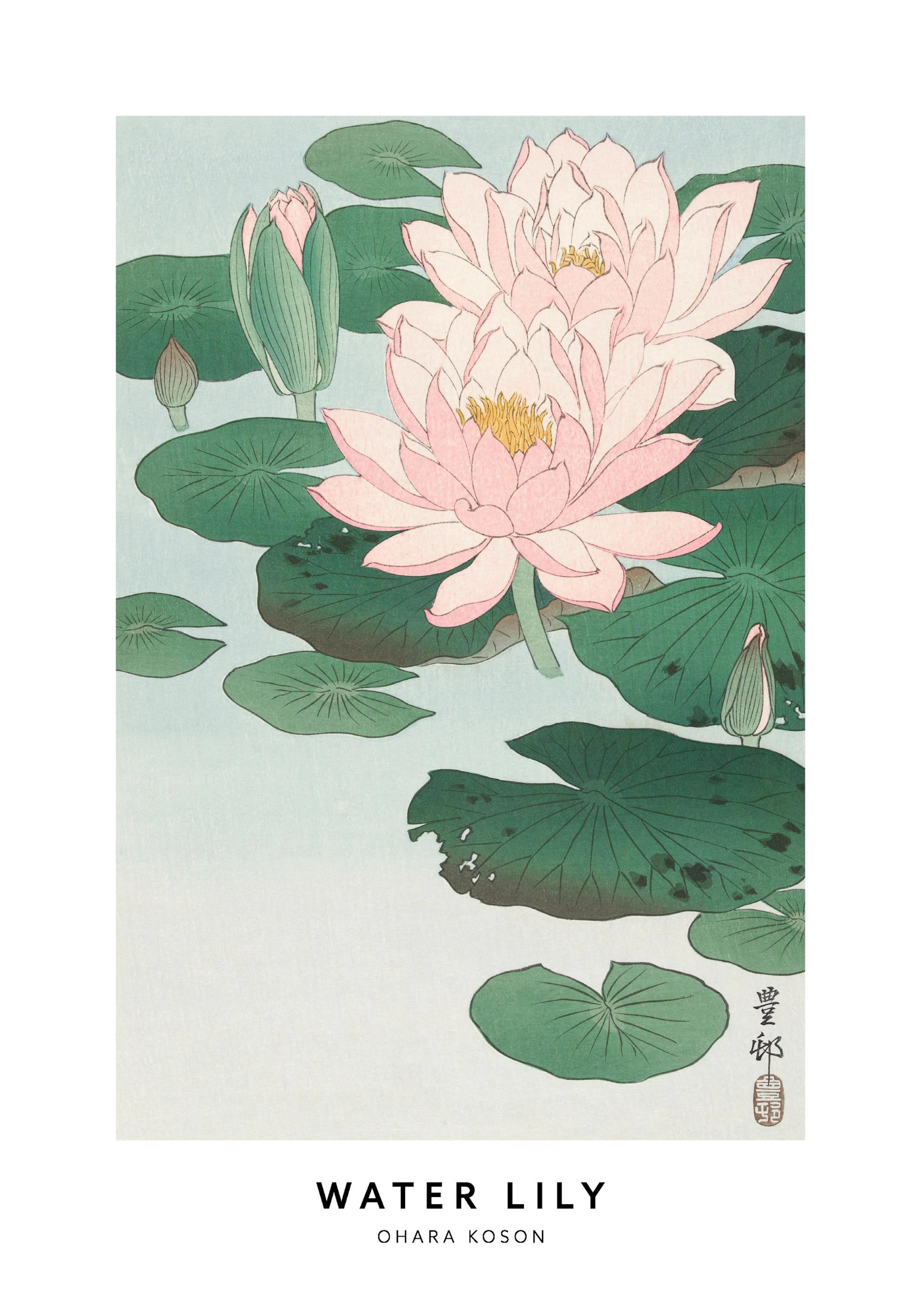 A poster featuring an illustration of pink water lilies and green lily pads on a light blue background.