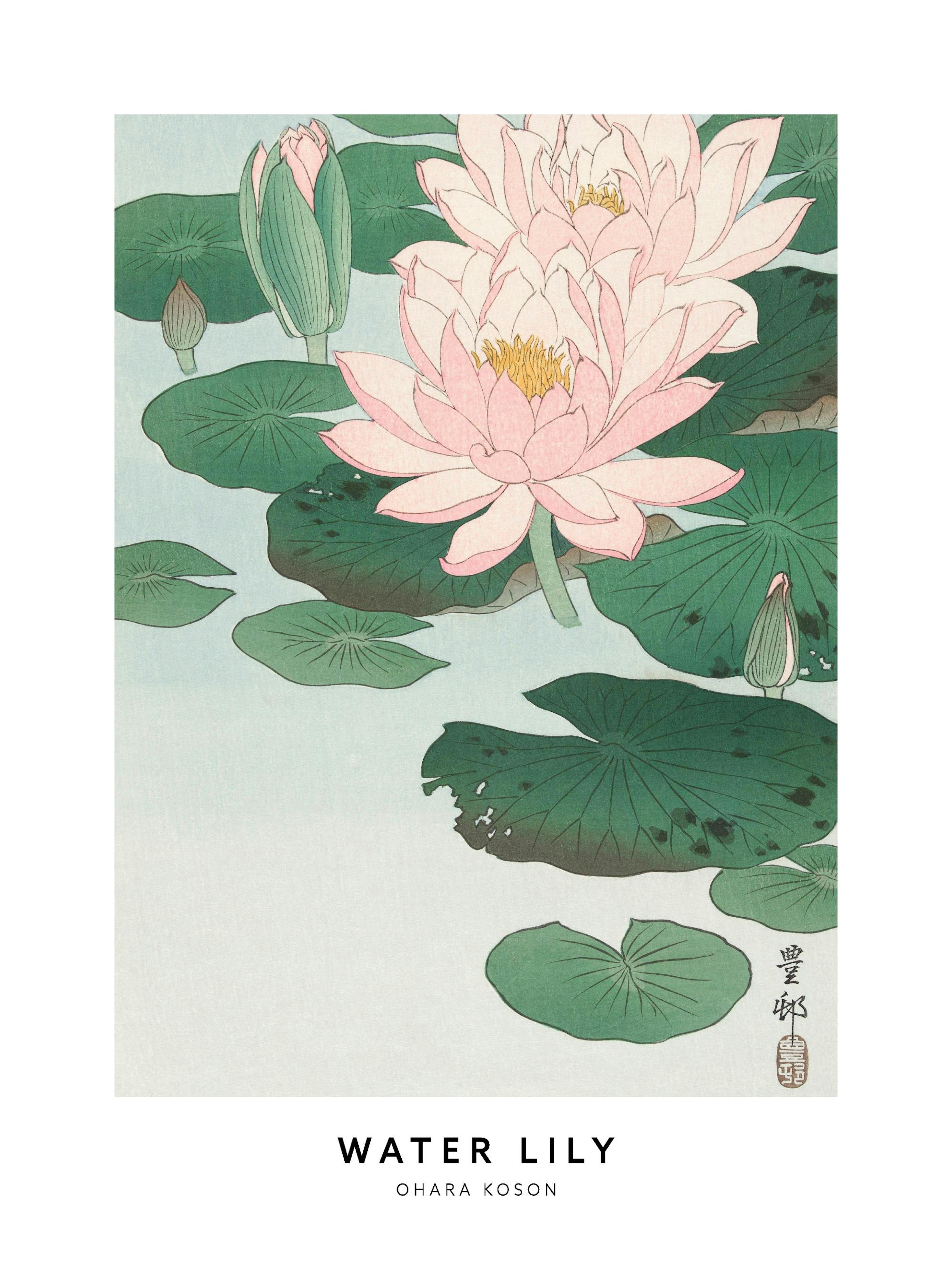 Poster mit zwei rosa Seerosen und grünen Blättern auf hellblauem Wasser, im japanischen Stil.