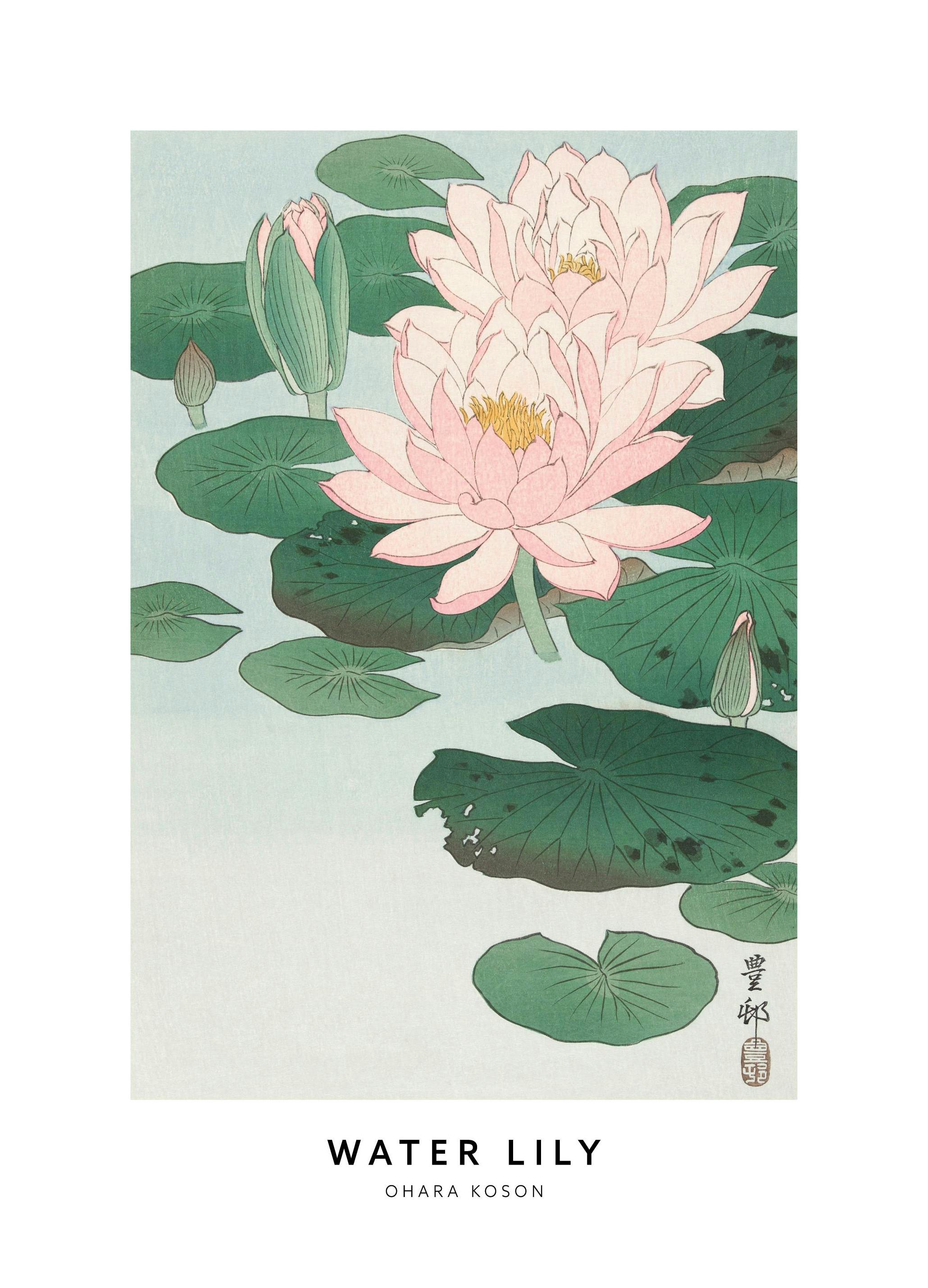 Ohara Koson - Water Lily Poster (21x30 cm) - Poster Store