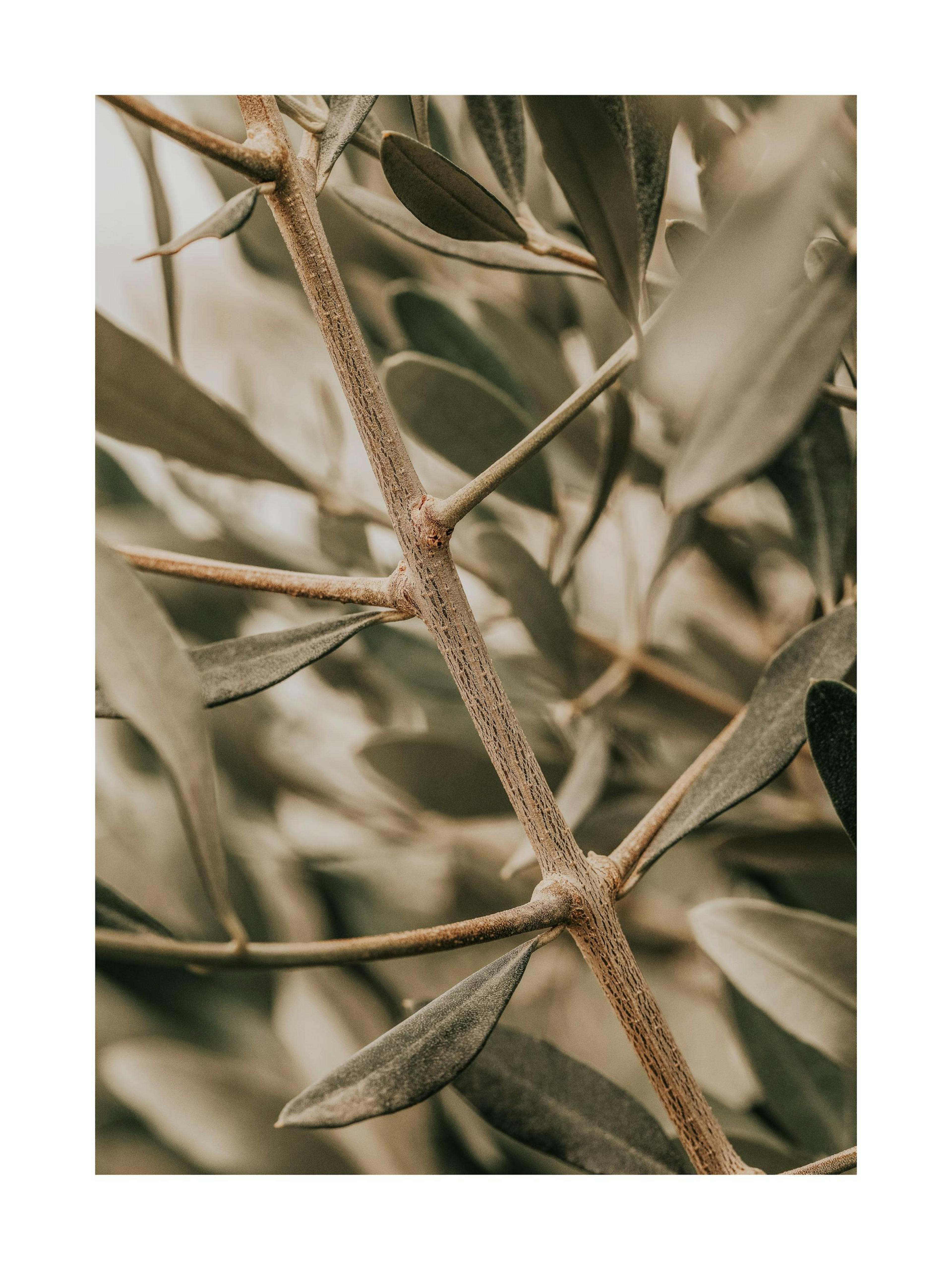 Product image: 1
