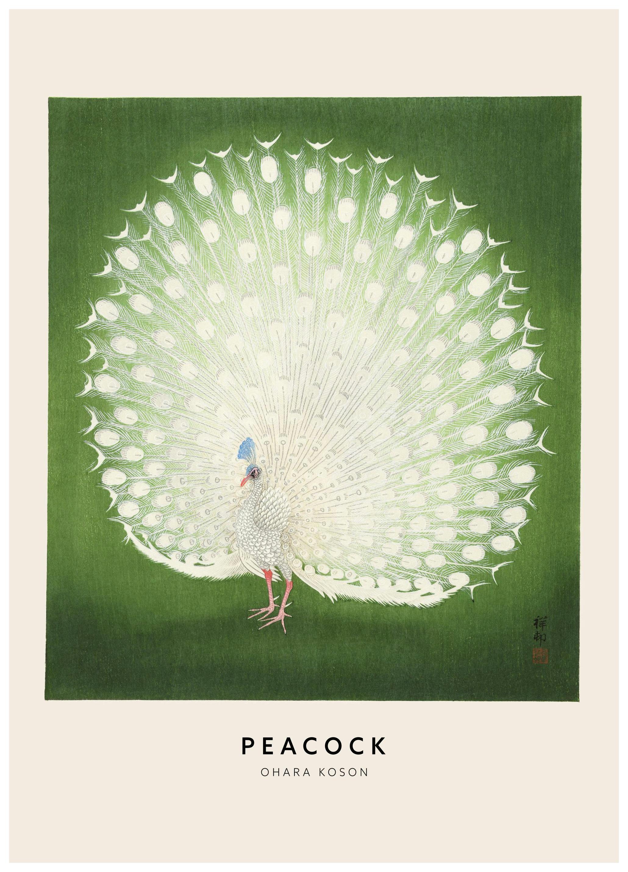 Ohara Koson - Pauw Poster (50x70 cm) - Poster Store