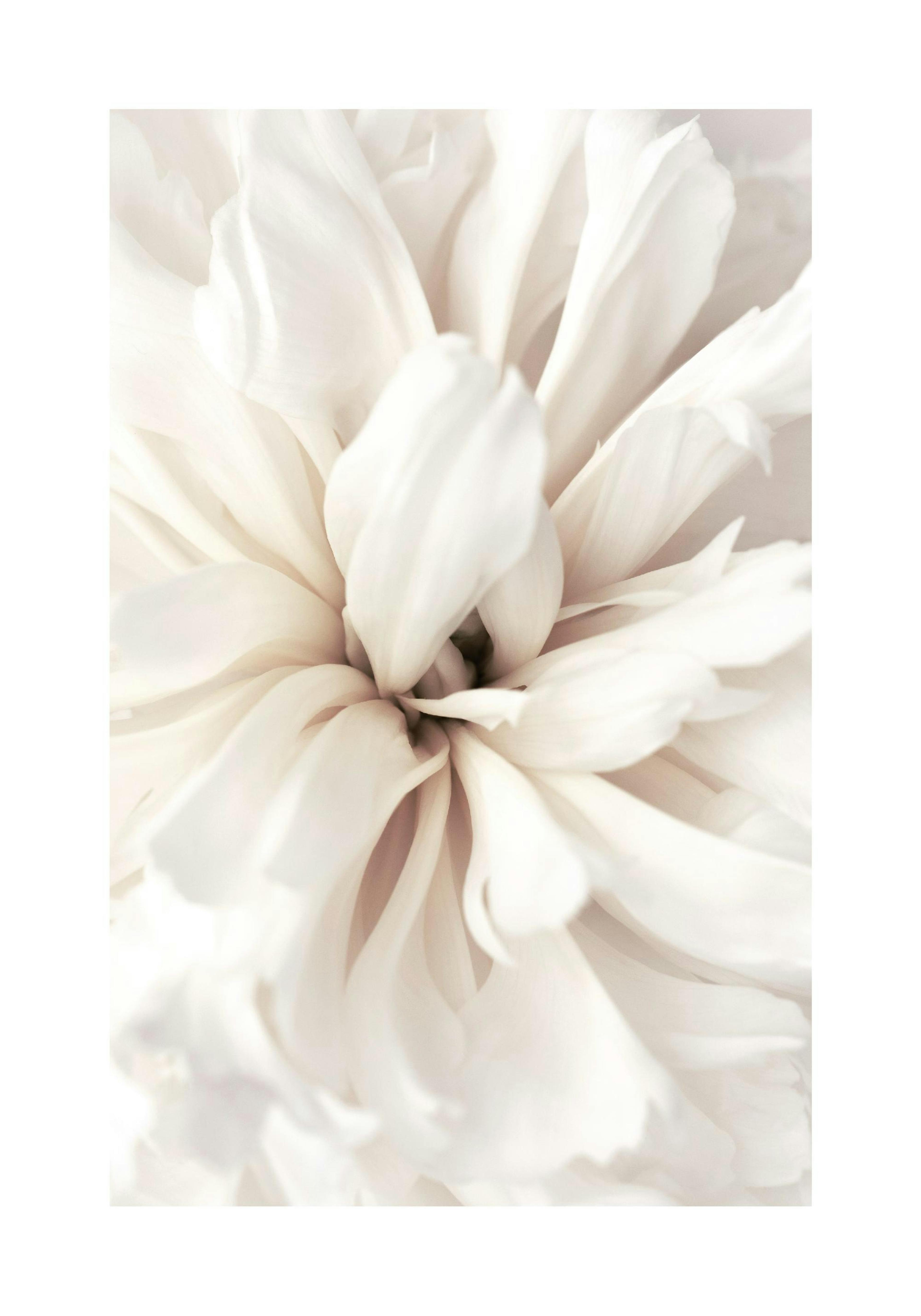 Product image: 1
