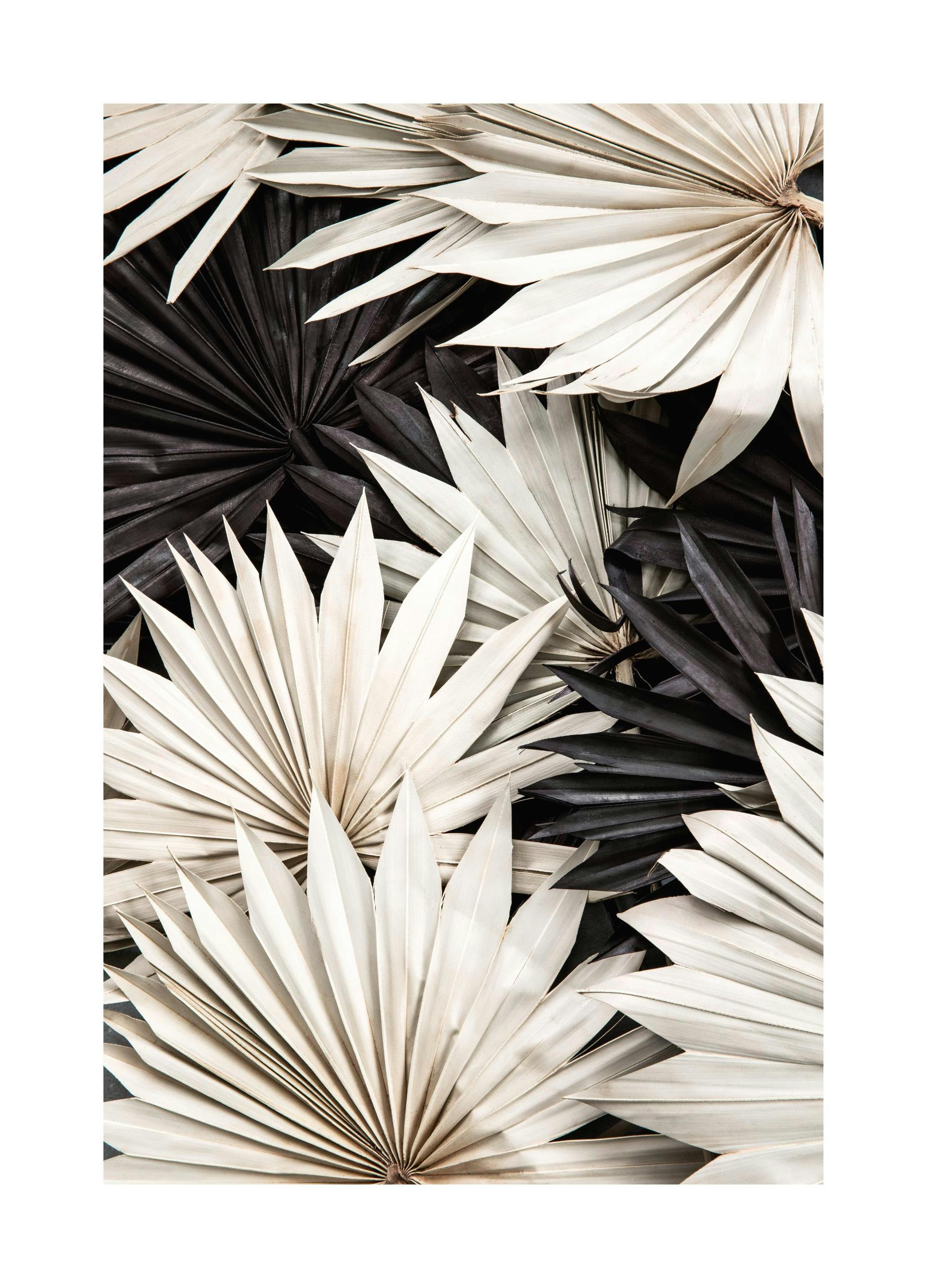 Kontrasterende Palme Plakat (50x70 cm) - Poster Store