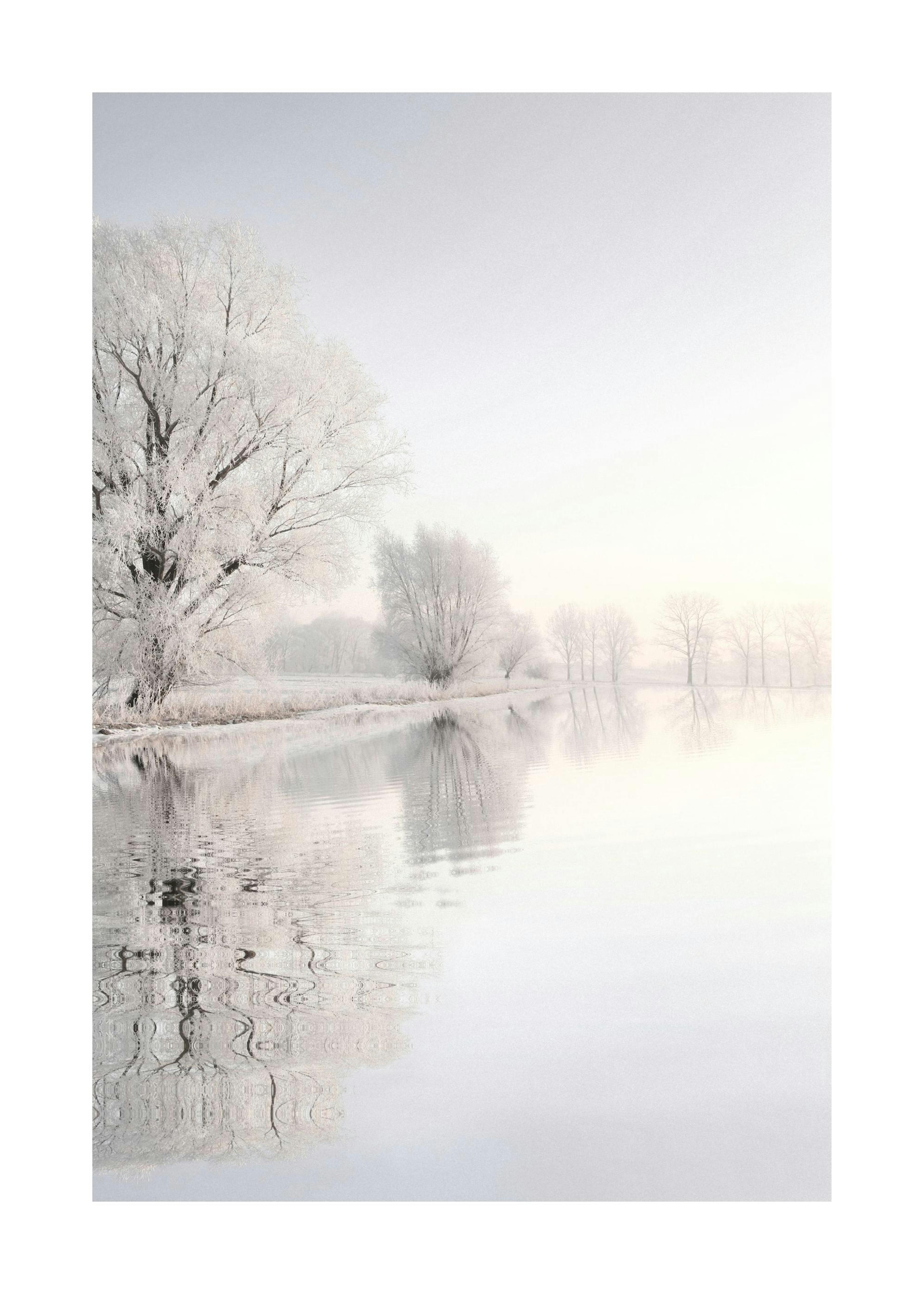 Crispy Wonderland Poster 0