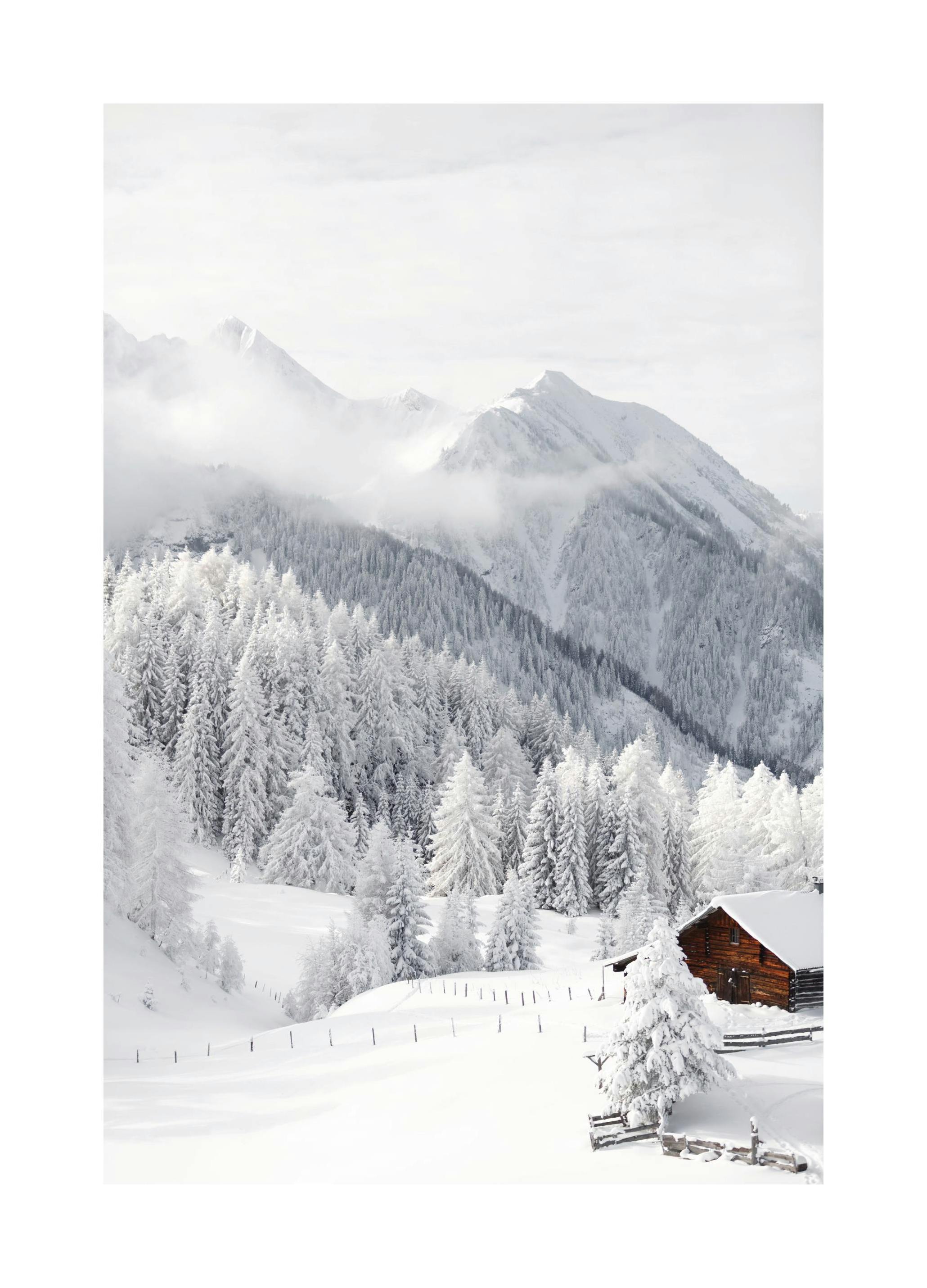 Snowy Landscape Poster (40x50 cm) - Poster Store