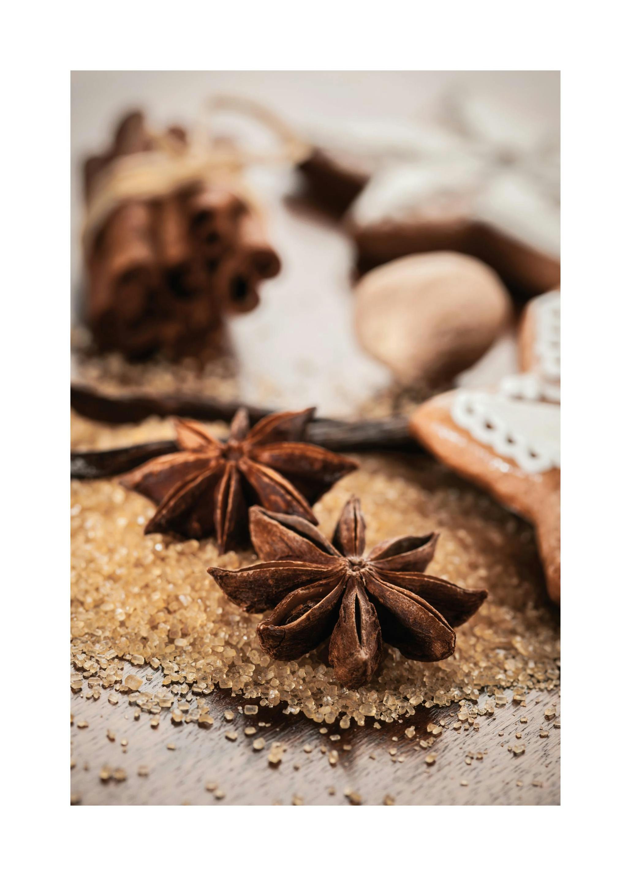Anis & Cinnamon Poster (50x70 cm) - Poster Store