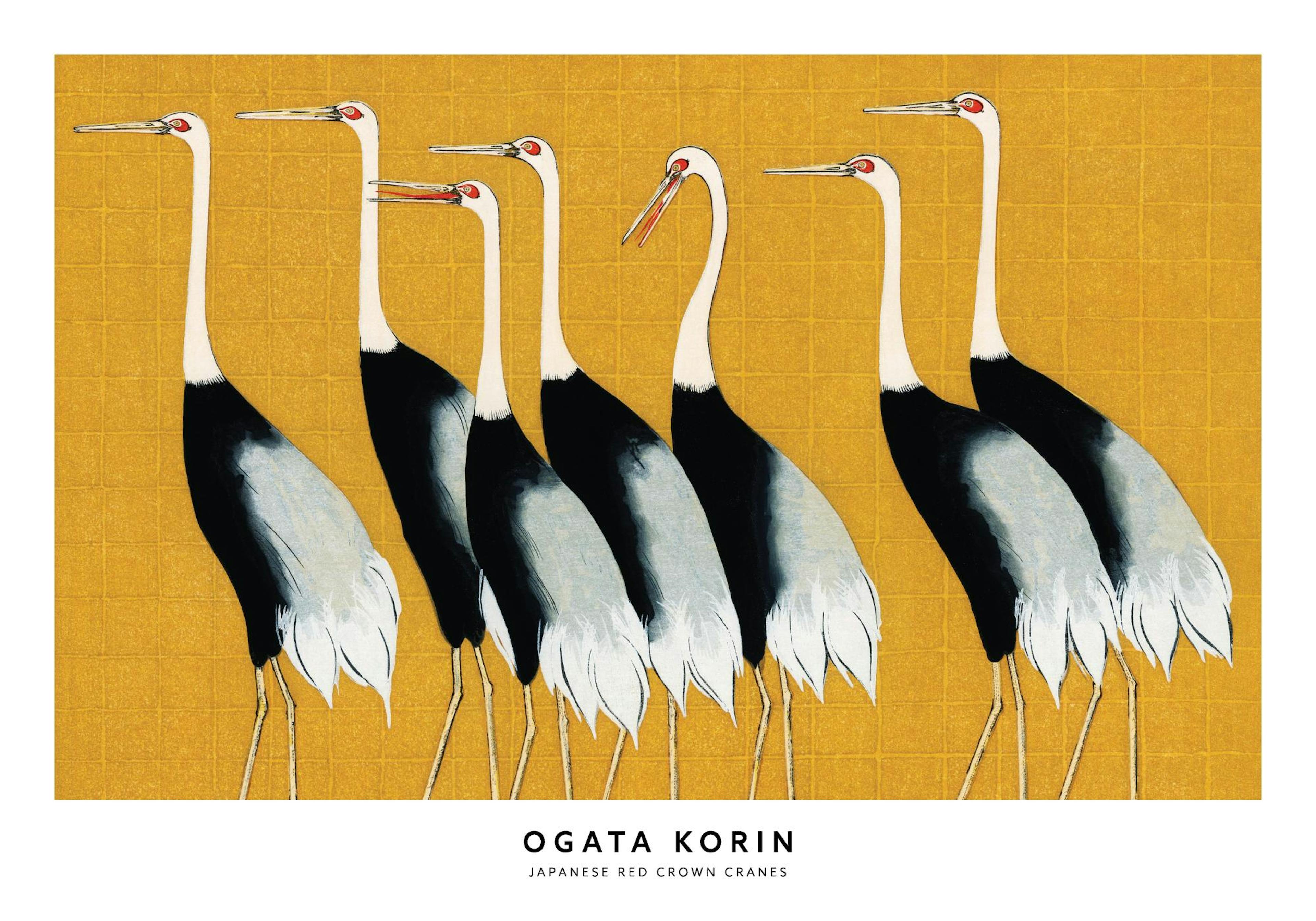 Un póster de ocho grullas japonesas de corona roja con picos largos, cuellos blancos, cuerpos negros y patas doradas sobre un fo