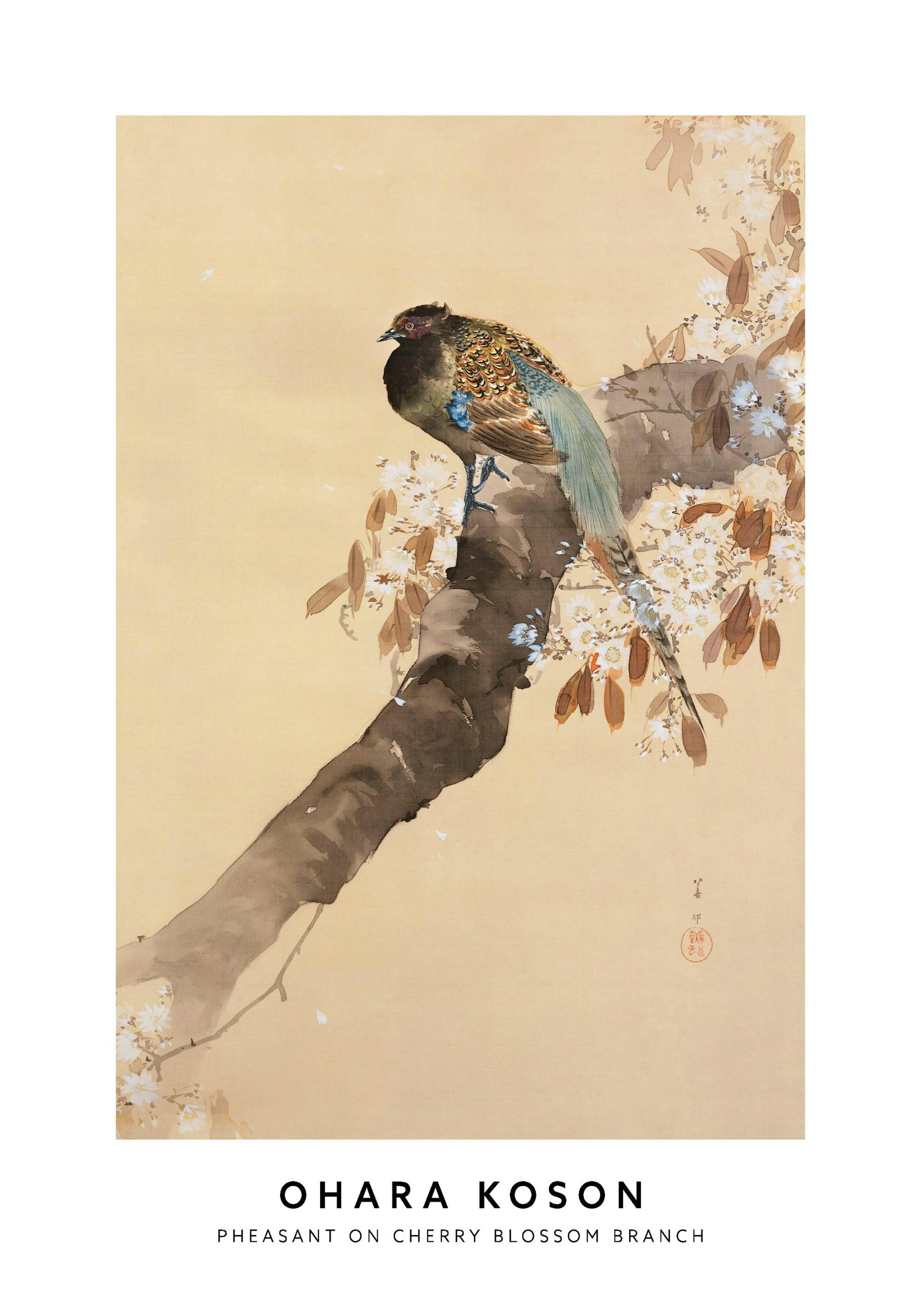 A poster featuring a colourful pheasant perched on a cherry blossom branch with white and brown flowers.