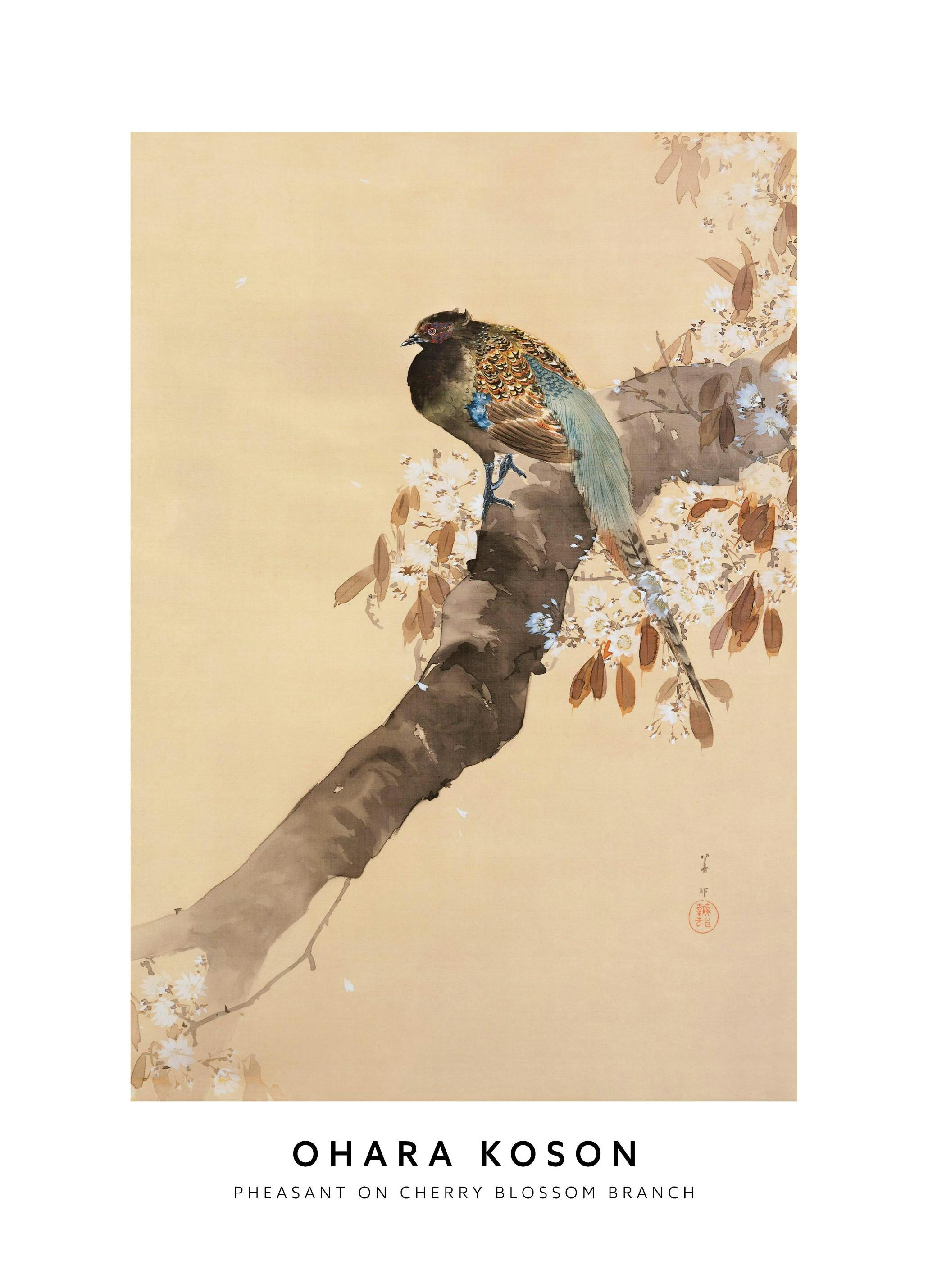 Ohara Koson - Fazant op Kersenbloesem Tak Poster (50x70 cm) - Poster Store