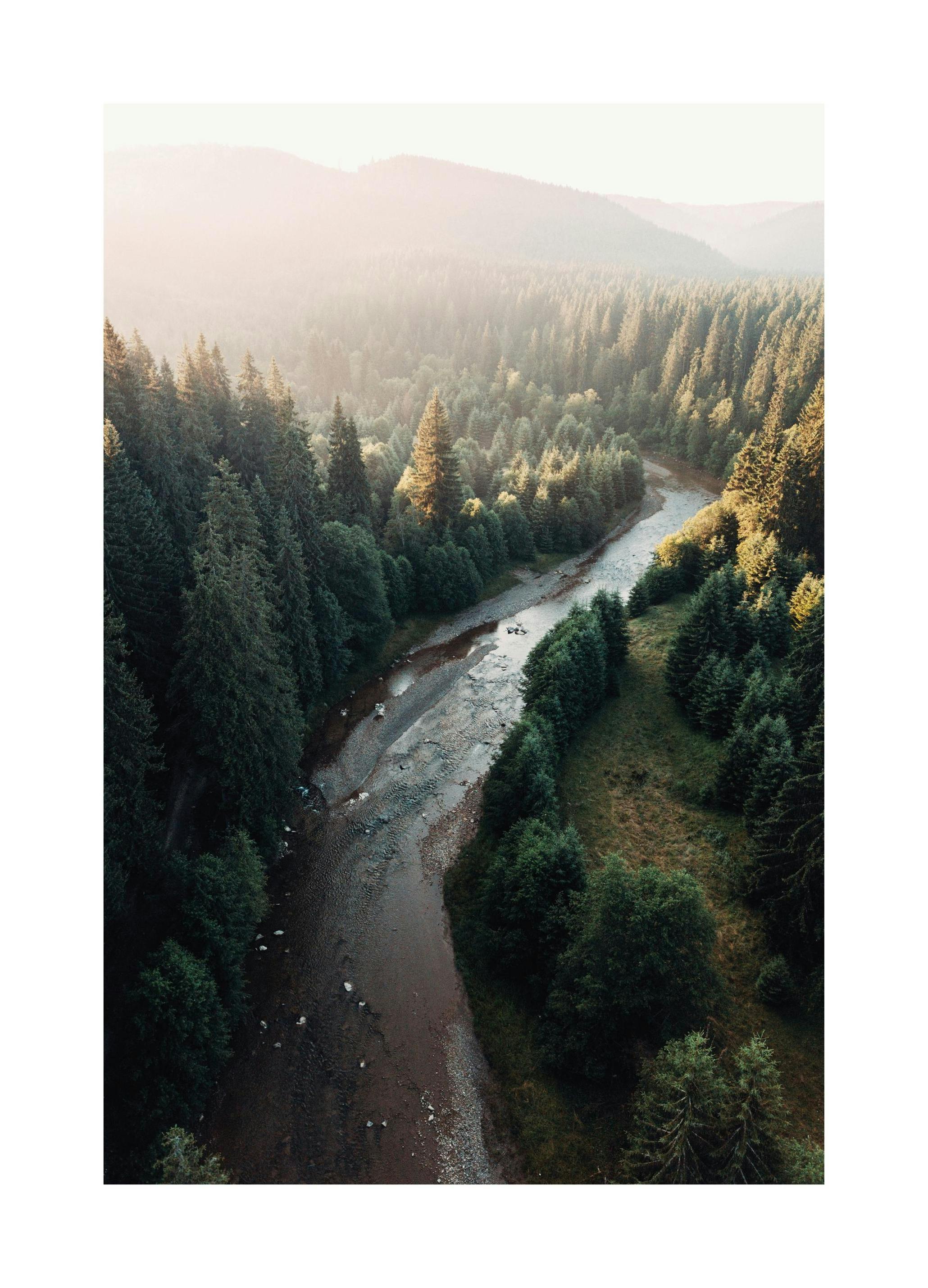 Rivier in Bos Poster (30x40 cm) - Poster Store