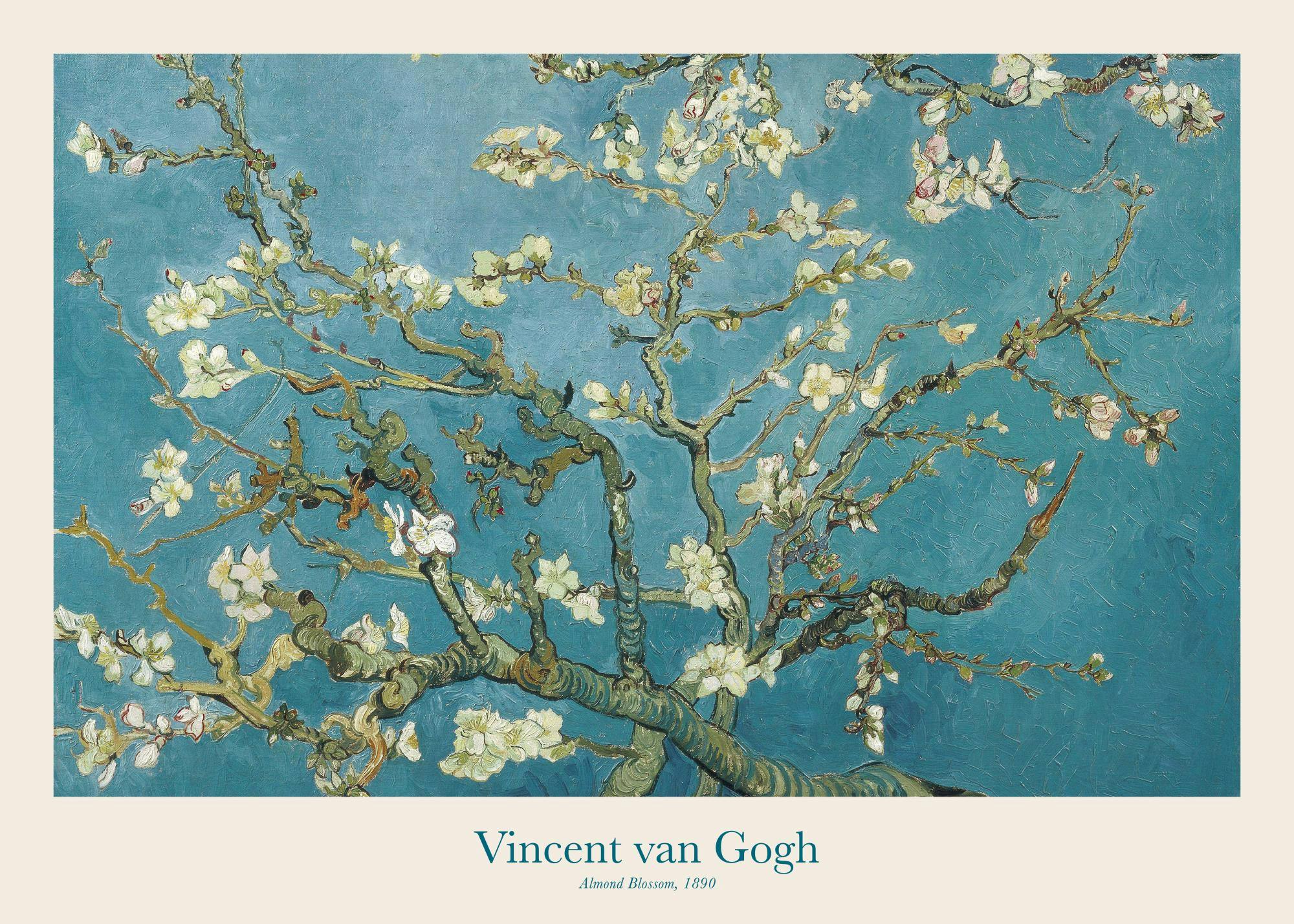 A poster featuring Van Goghs Almond Blossom painting with white blooms and branches against a teal background.