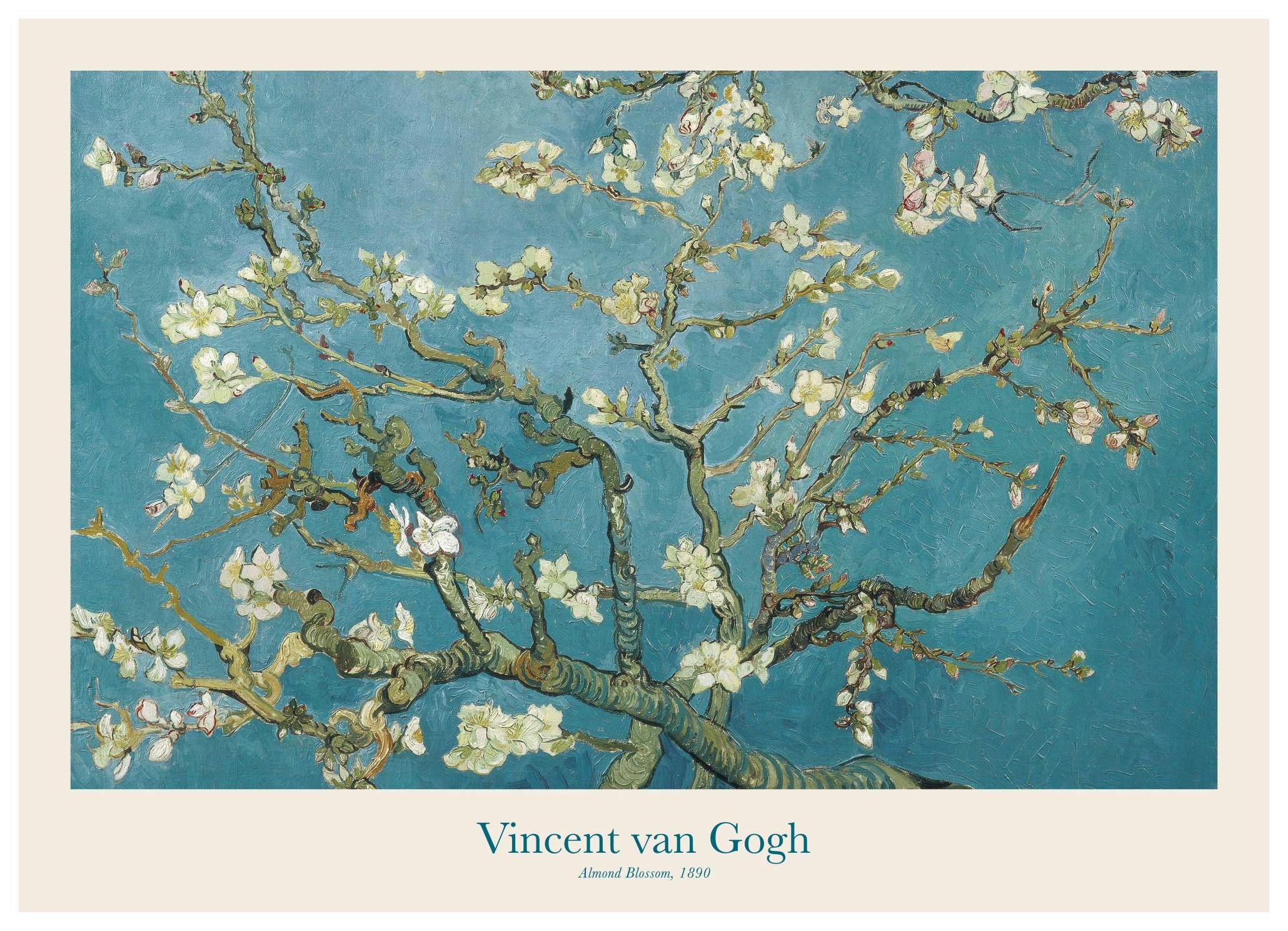 Van Gogh - Almond Blossom Poster (50x70 cm) - Poster Store