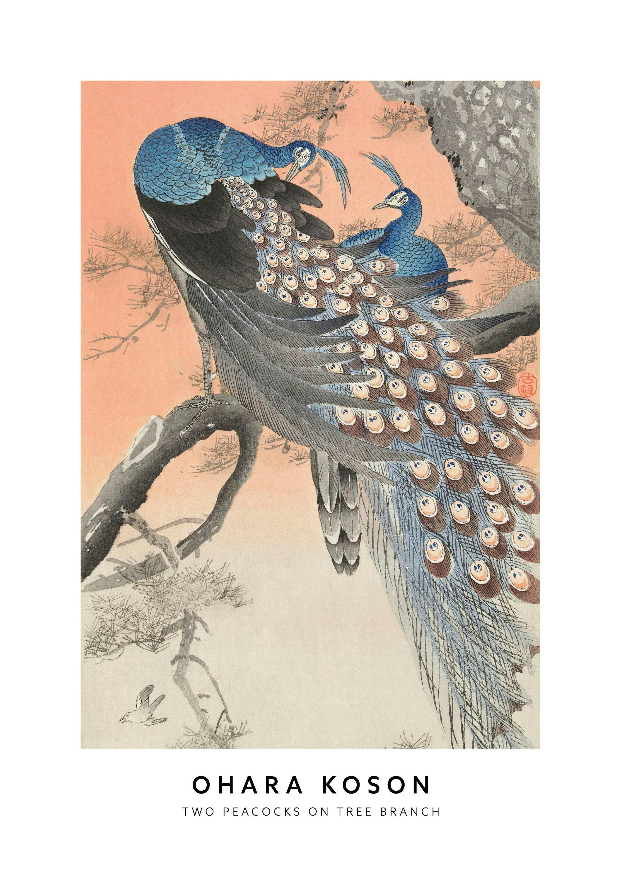 Poster con due pavoni dalle piume blu e grigie su un ramo dalbero, su sfondo pesca con dettagli naturali.