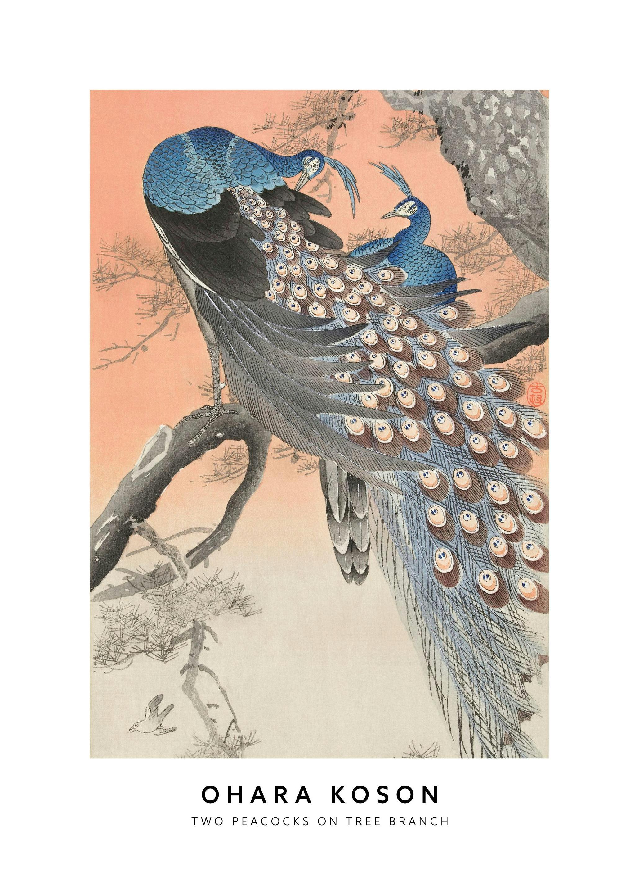 Ohara Koson - Two Peacocks on Tree Branch Poster (21x30 cm) - Poster Store