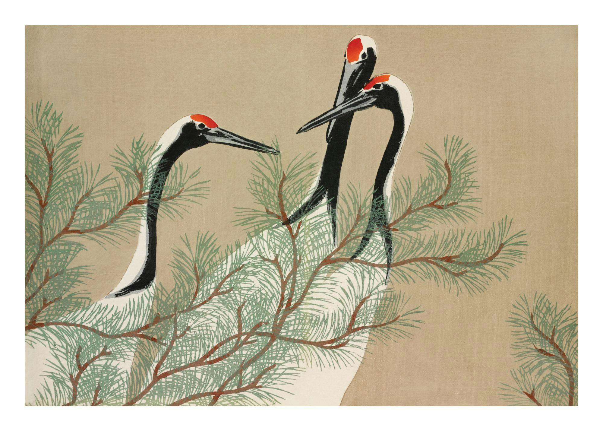 Póster de tres grullas de cuello negro y cabeza roja, con follaje de pino en tonos verdes y marrones.