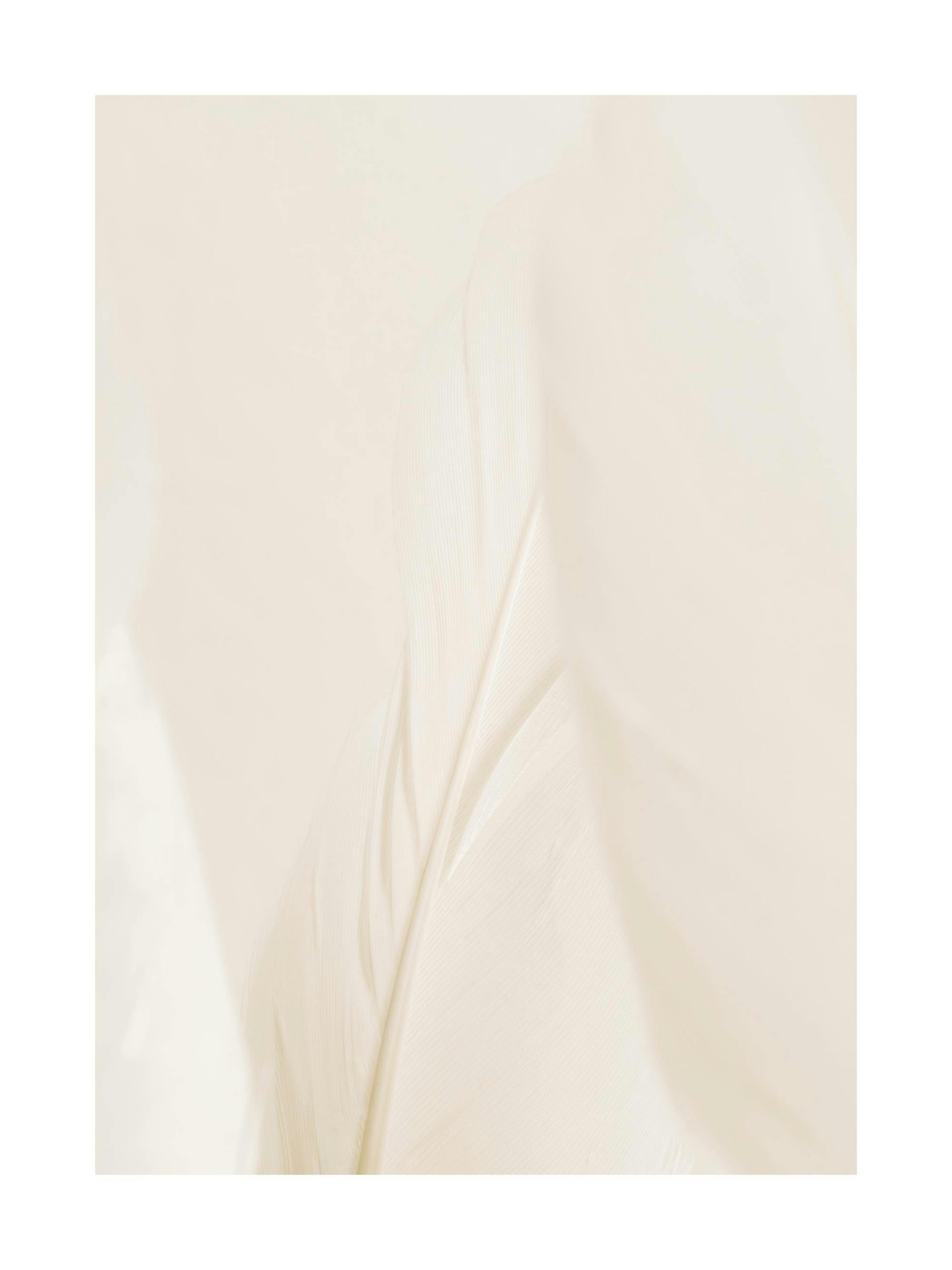 Poster abstrait beige clair avec formes organiques et fines lignes, accroché dans une chambre moderne au-dessus dun lit avec cou