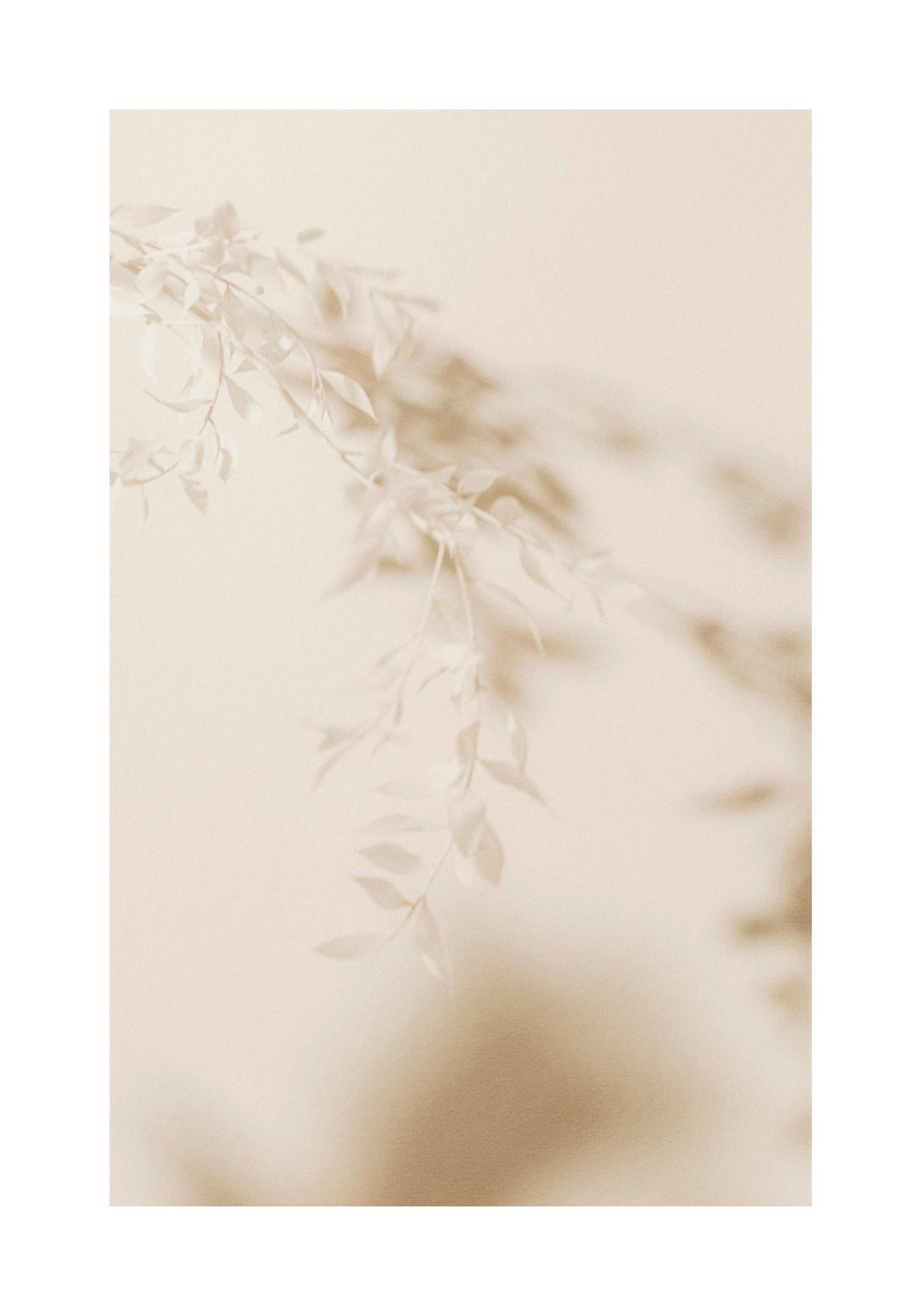 Product image: 1