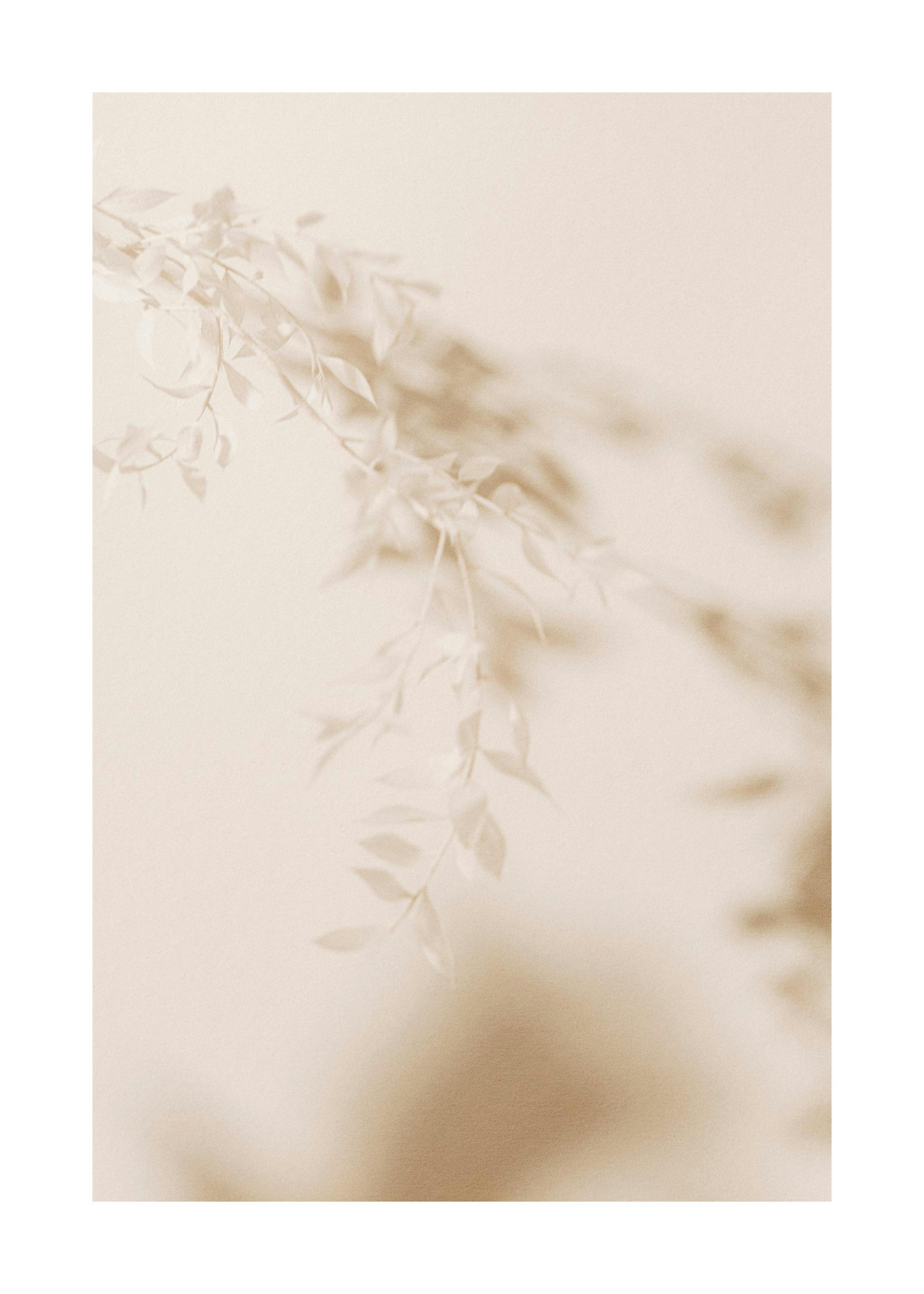 Beige Blad Poster 0