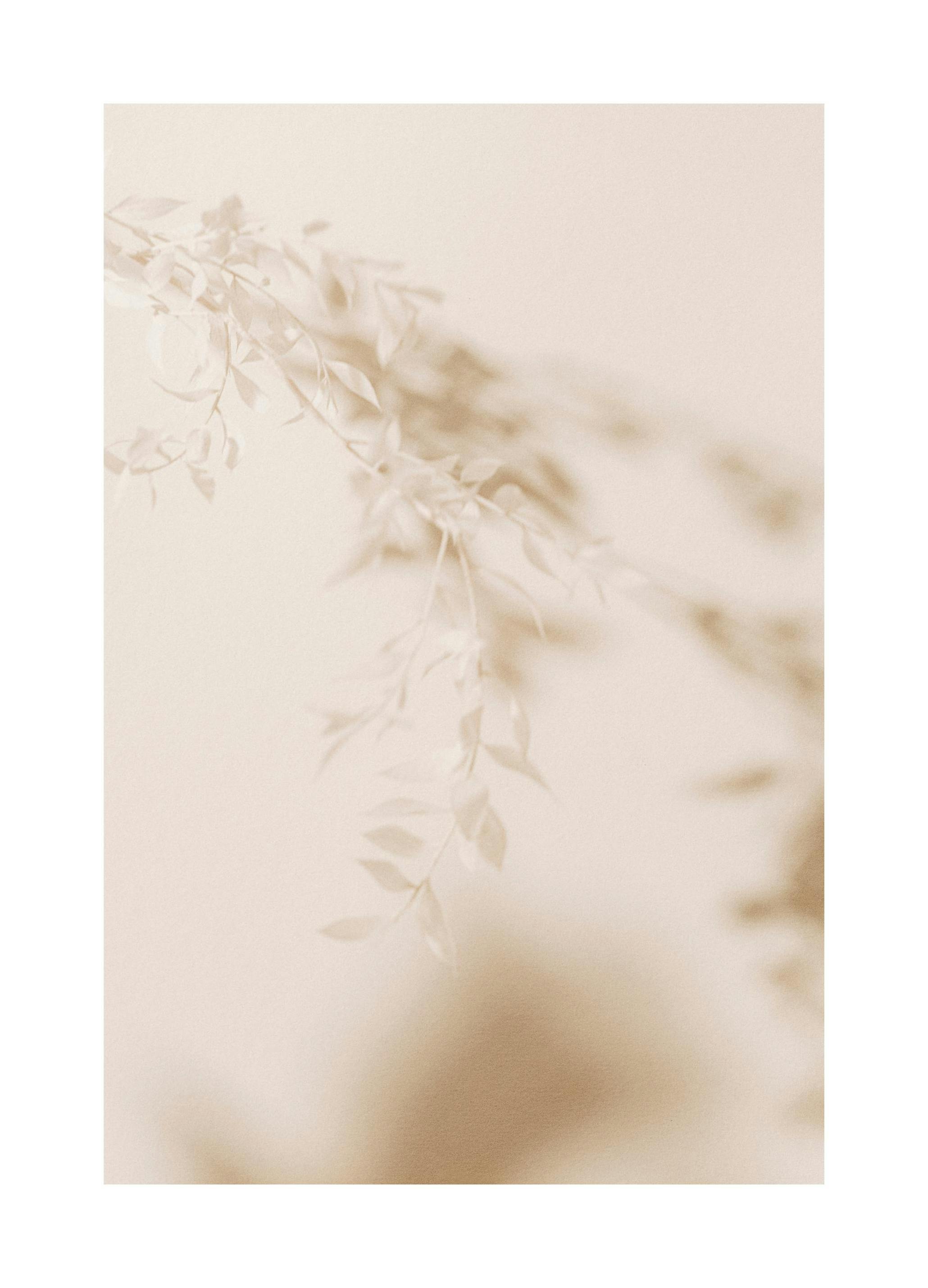 Beige Blader Plakat (50x70 cm) - Poster Store