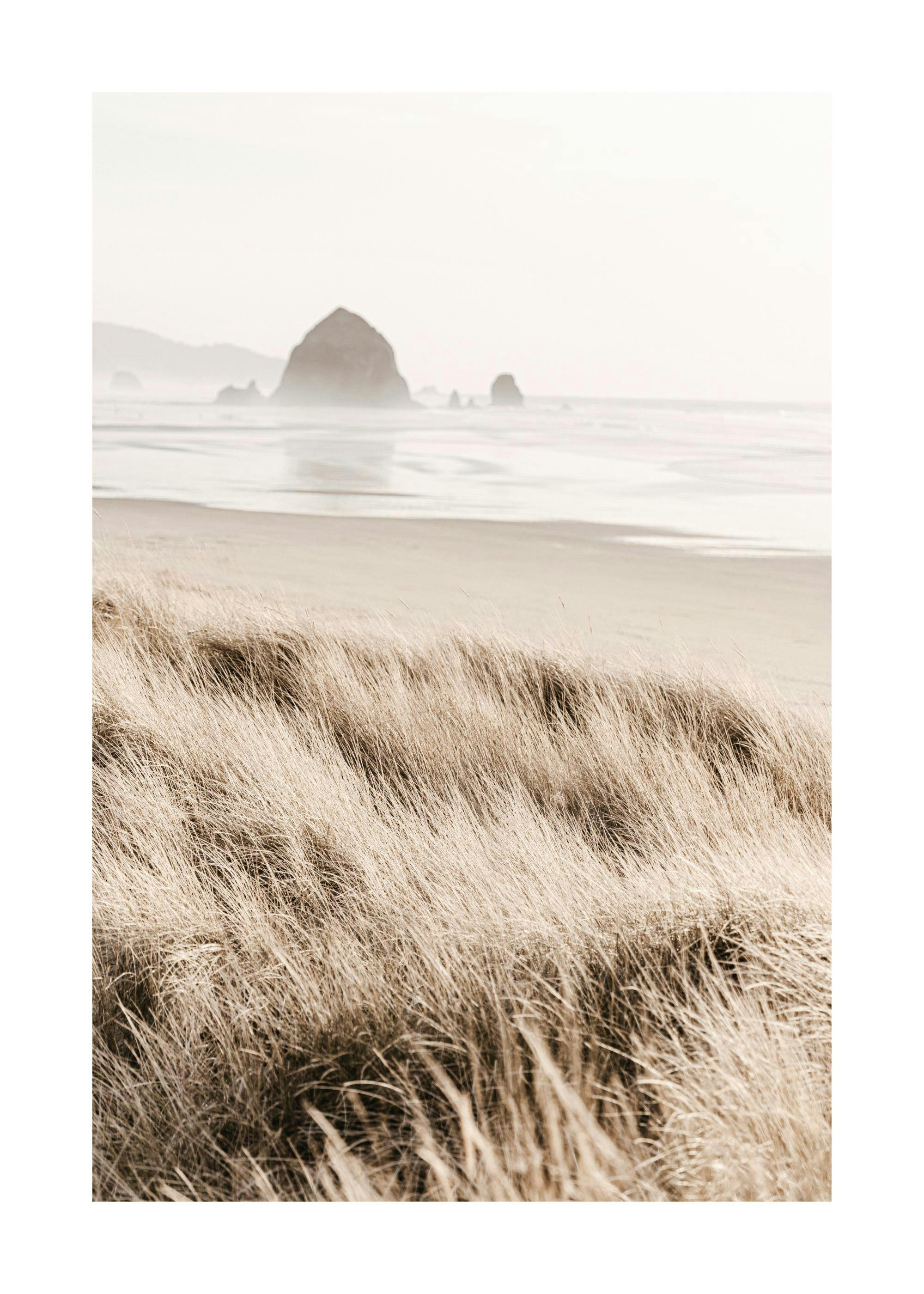 Poster einer Küstenlandschaft mit Dünen und trockenem Gras im Vordergrund, unscharfer Felsen im Meer im Hintergrund.