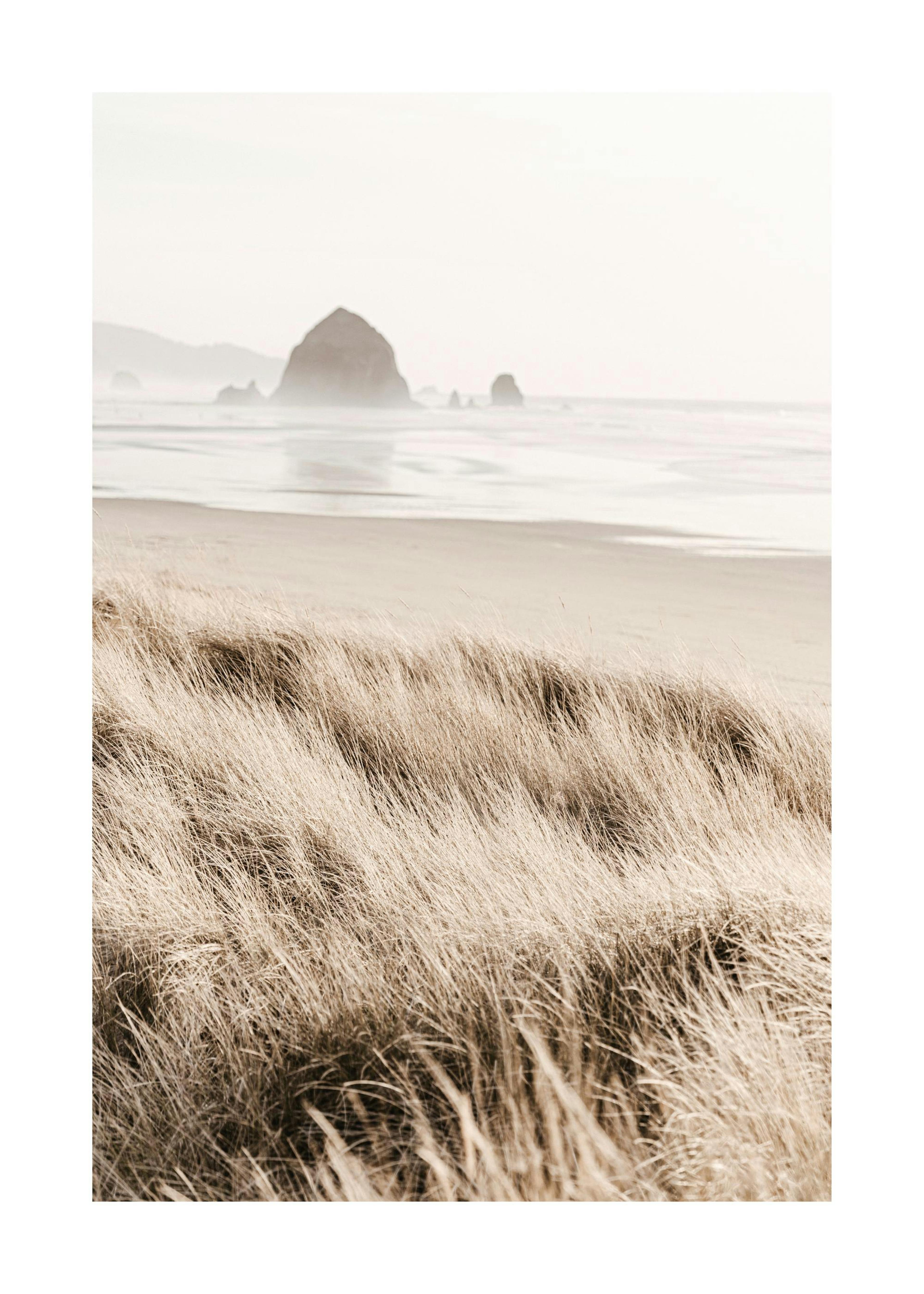 Morning Beach Poster 0