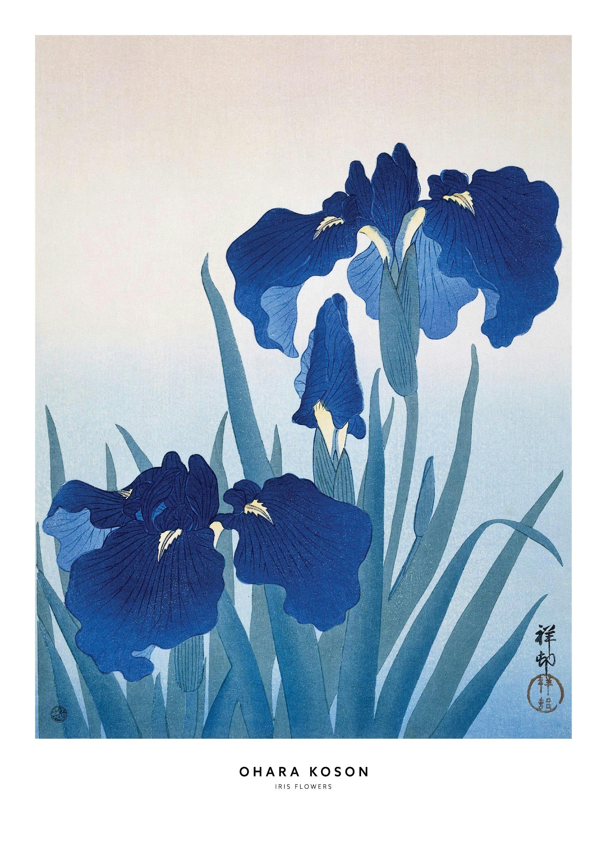 En plakat med mørkeblå irisblomster og grønne blader mot en lys, blå bakgrunn.