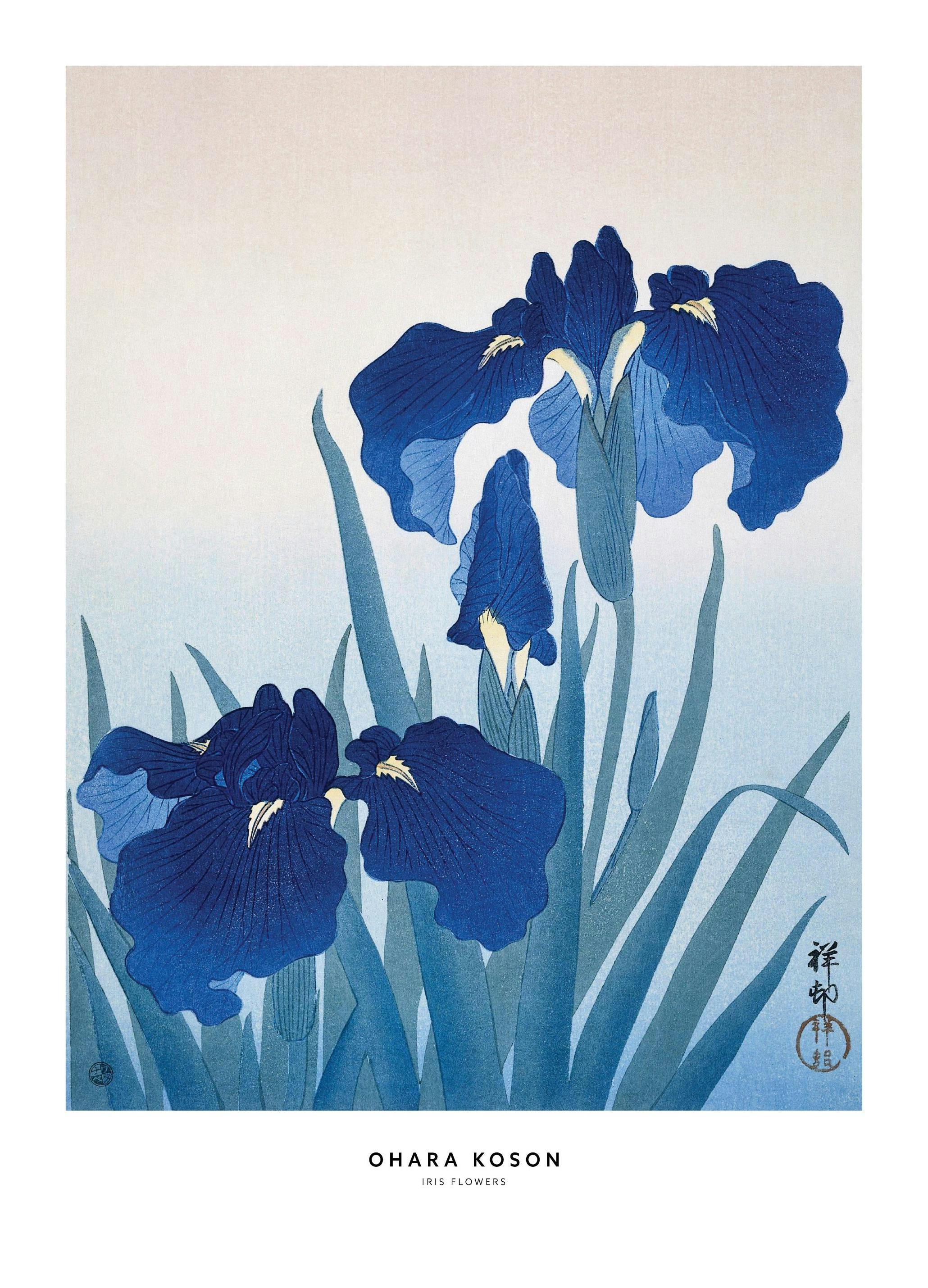 Ohara Koson - Iris Blommor Poster (30x40 cm) - Poster Store