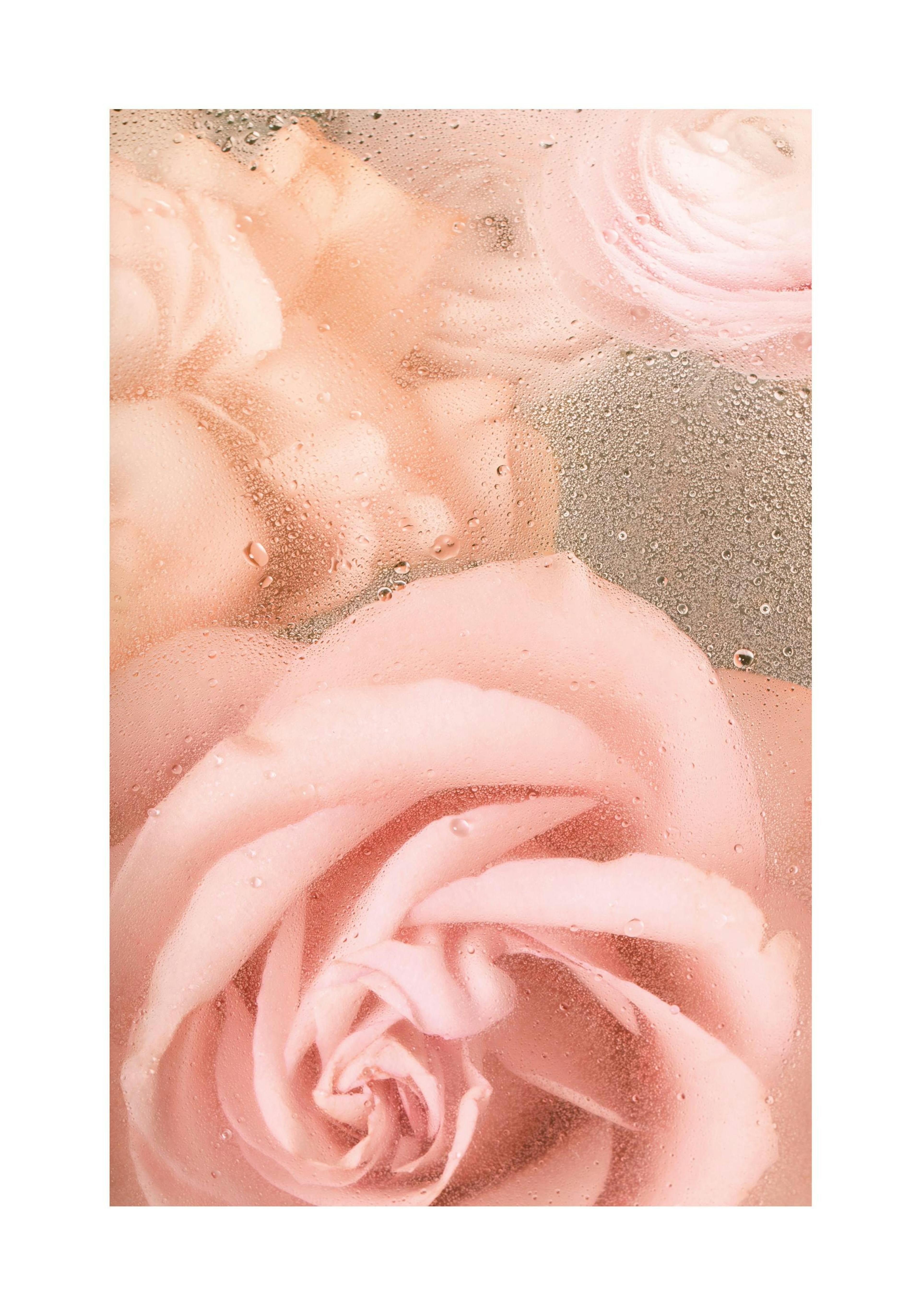 Product image: 1