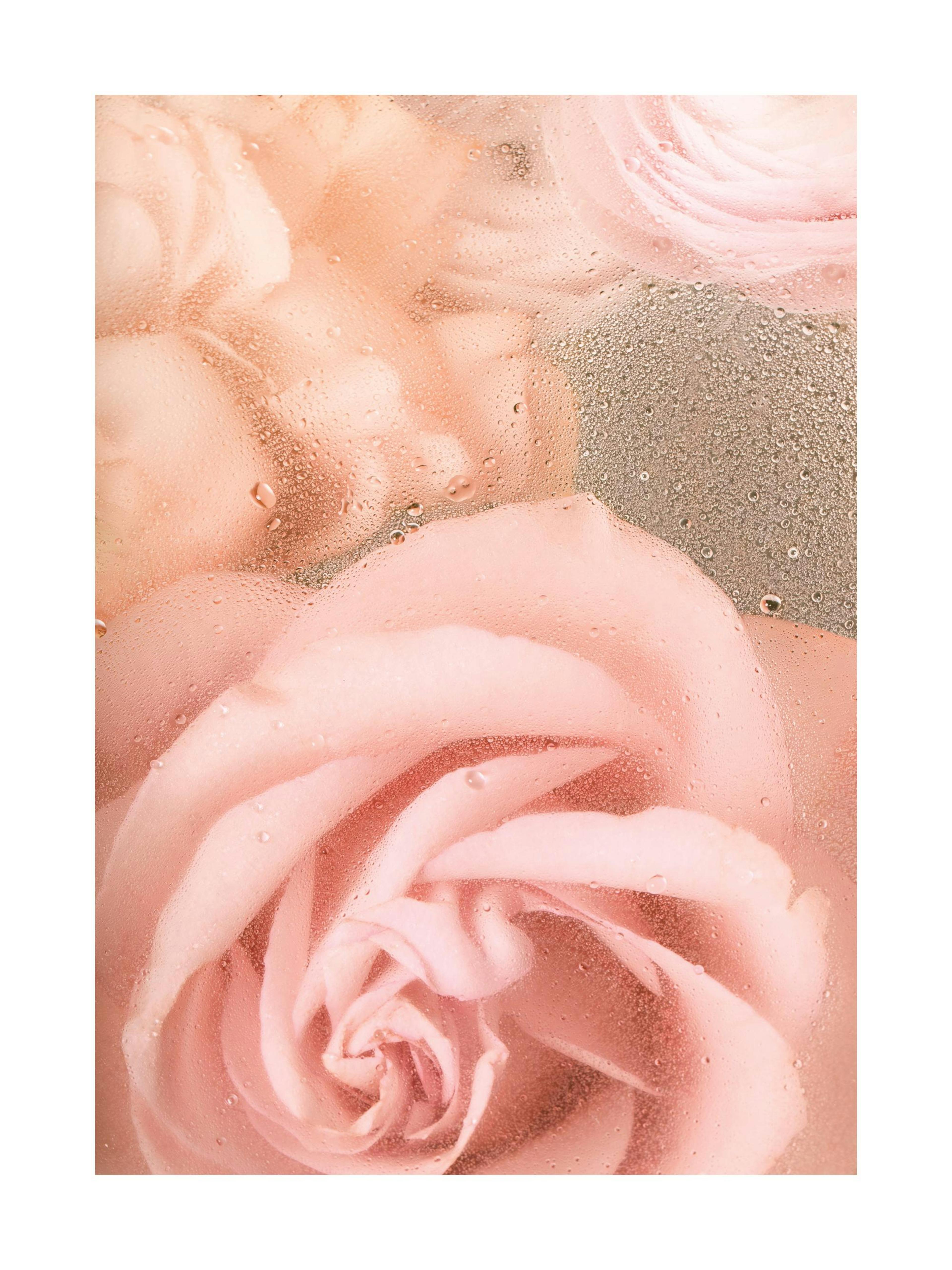 Product image: 1
