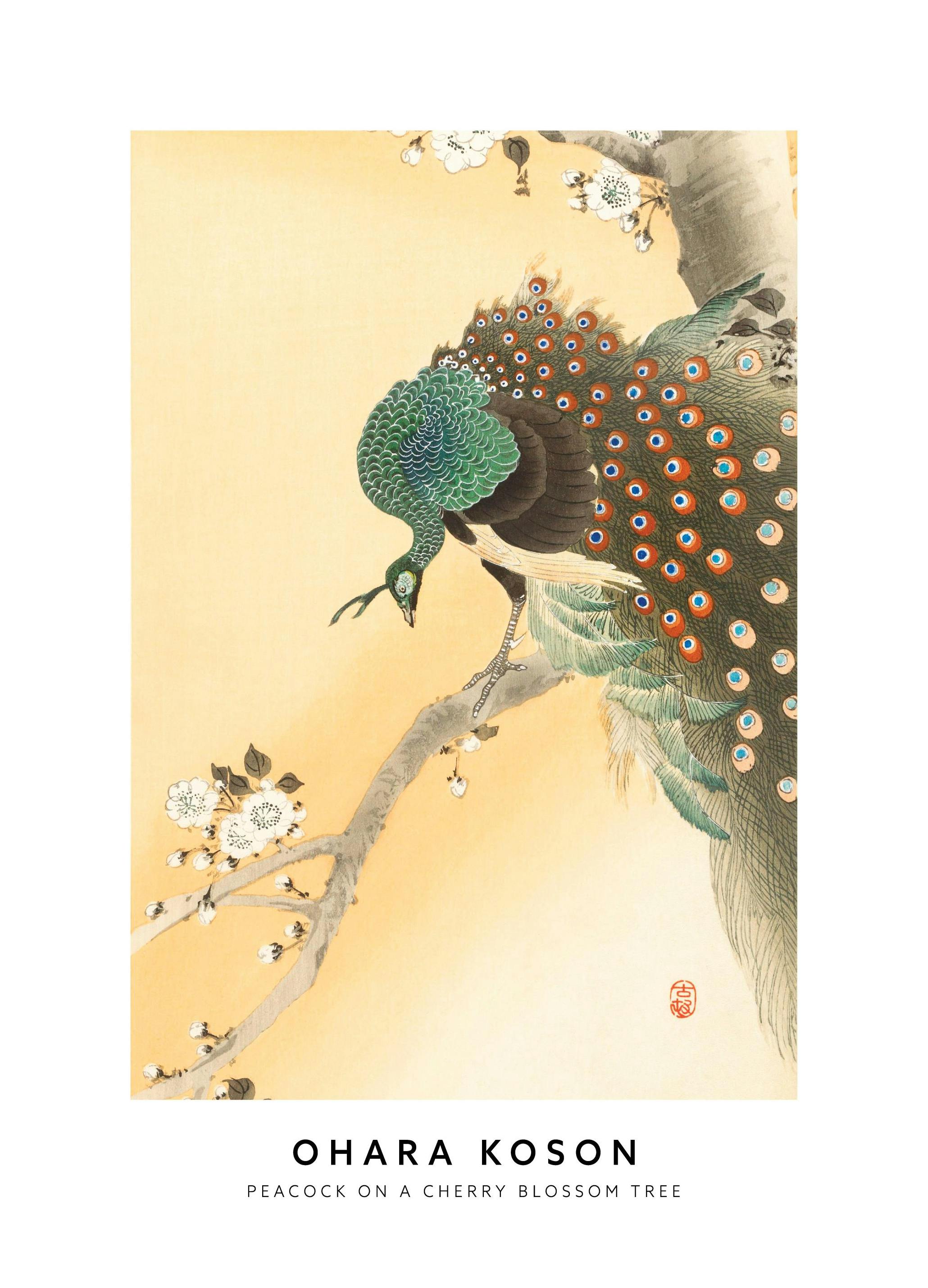 Ohara Koson - Paon sur Cerisier en Fleurs Poster (50x70 cm) - Poster Store