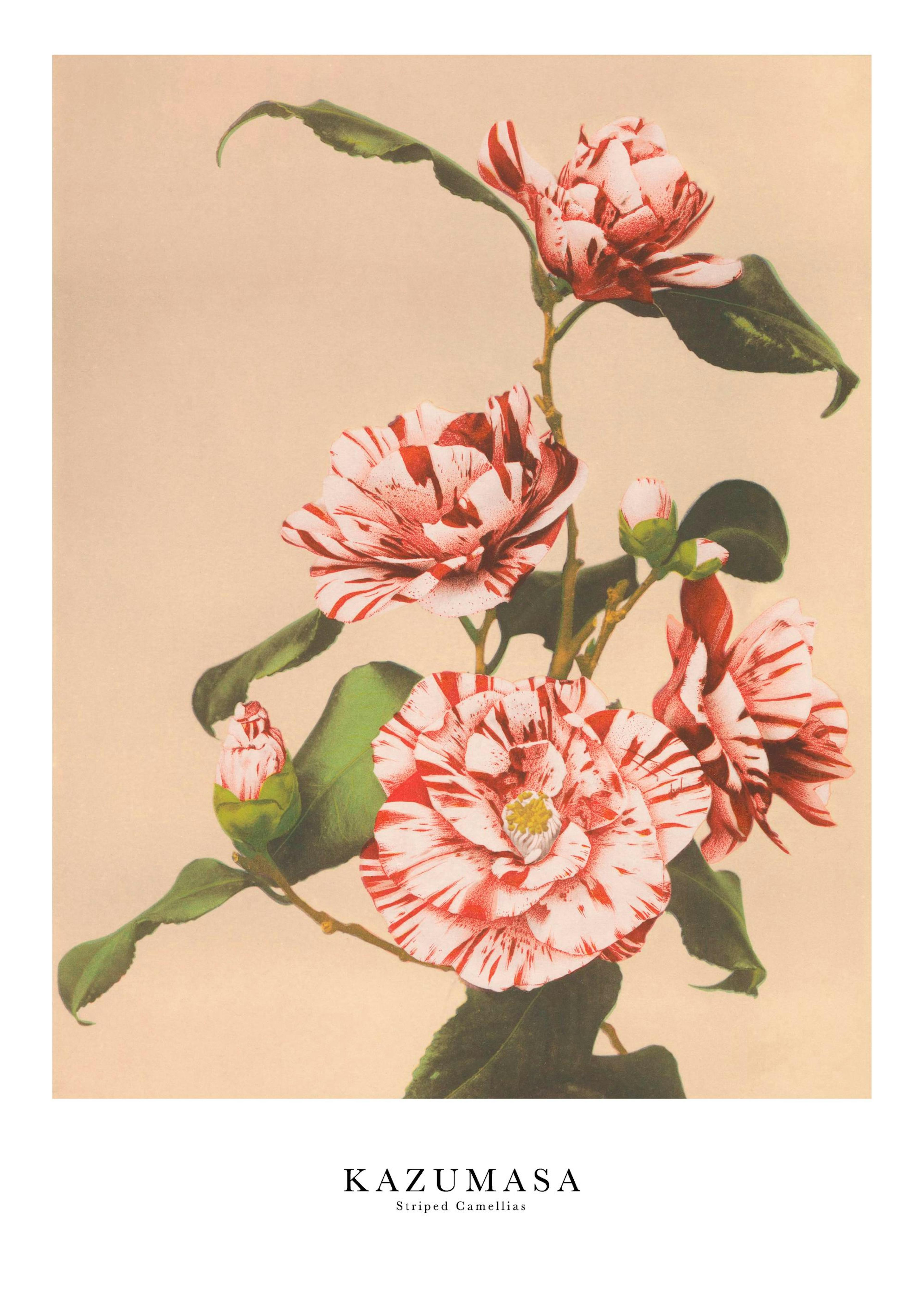 Product image: 1
