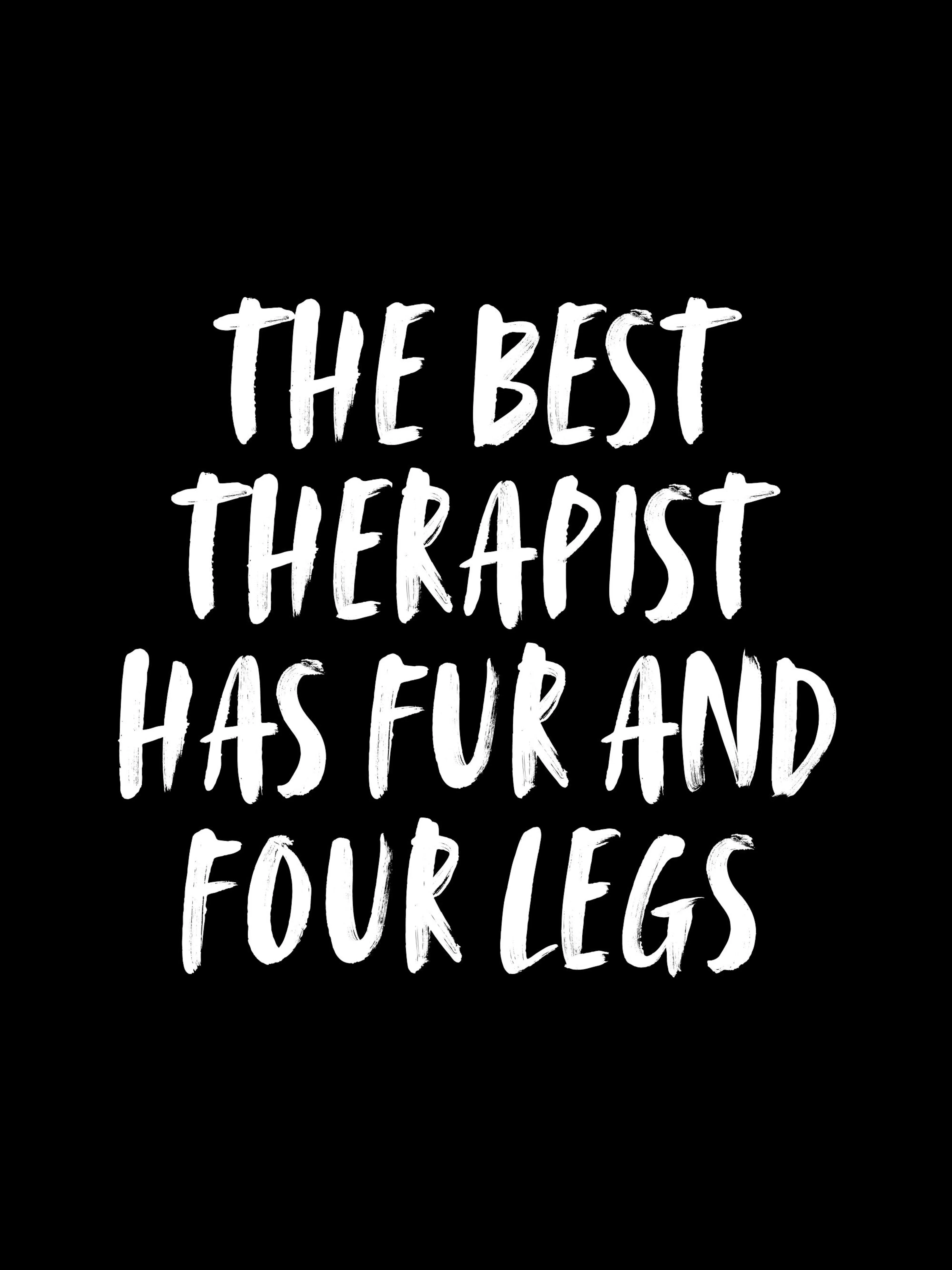 Poster avec le texte blanc THE BEST THERAPIST HAS FUR AND FOUR LEGS sur fond noir.