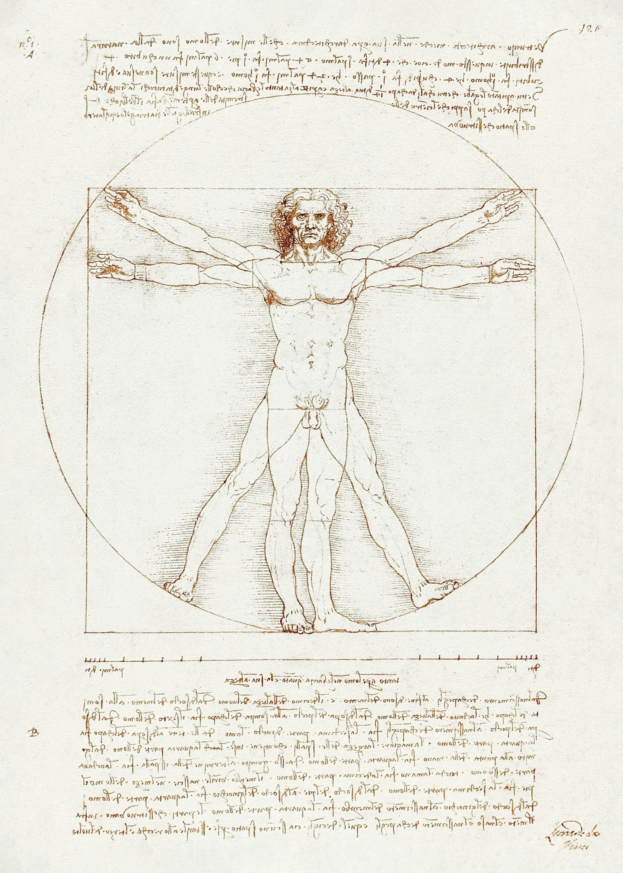 Poster du célèbre Homme de Vitruve de Léonard de Vinci, un dessin anatomique sur fond beige avec texte.