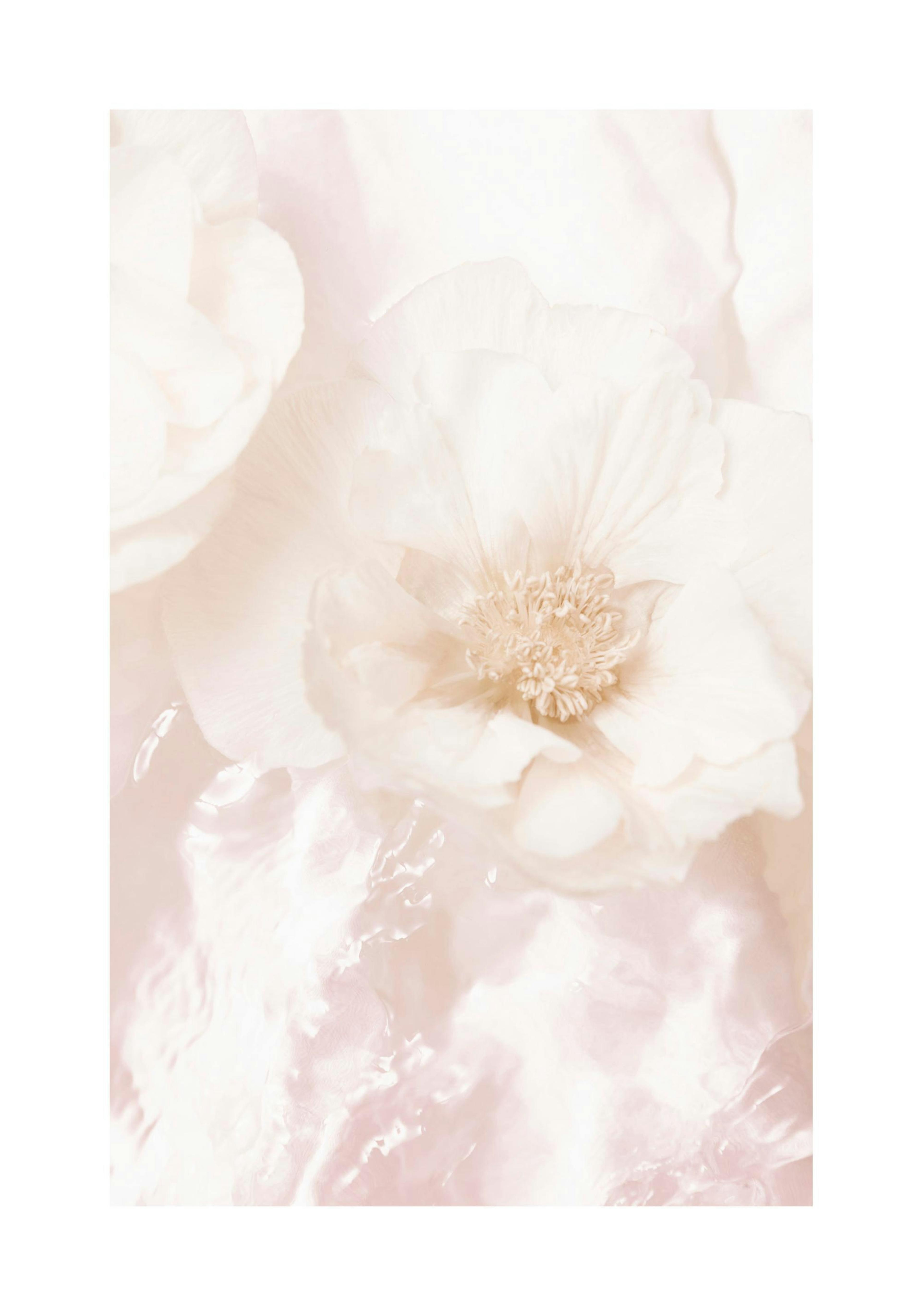 Product image: 1