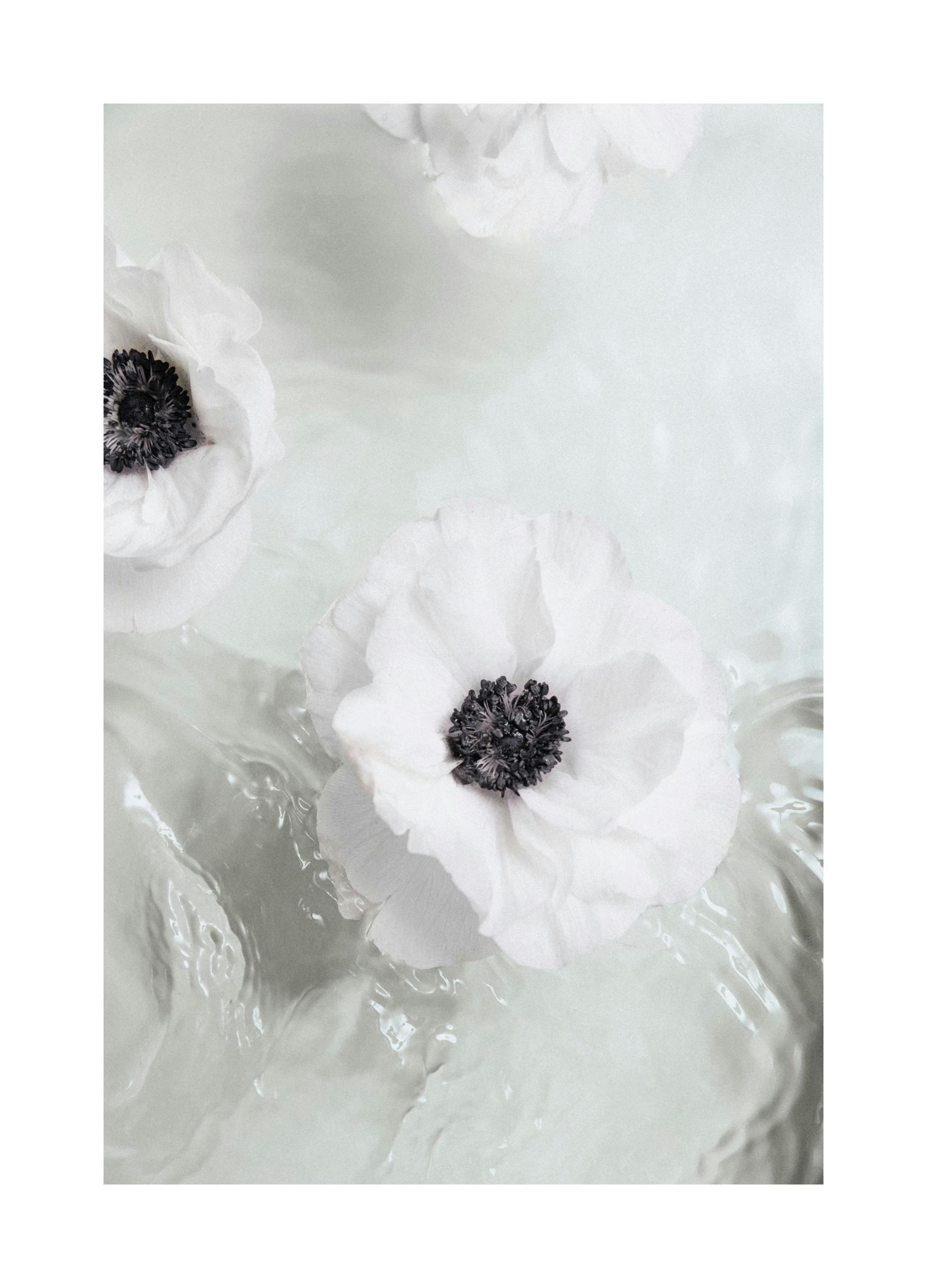 Bloem in Water Poster (21x30 cm) - Poster Store