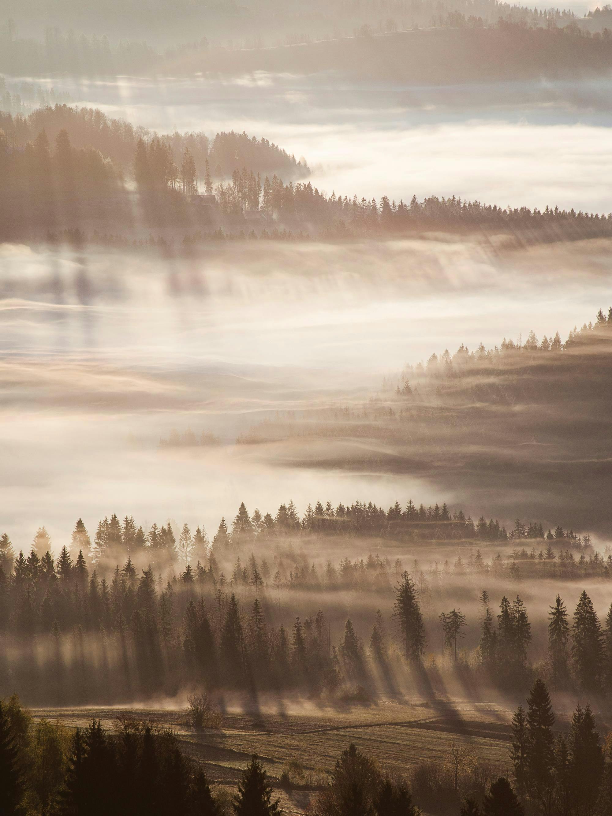 Plakát zachycuje podzimní mlhavou krajinu s lesy a paprsky slunce, které pronikají skrze mlhu.
