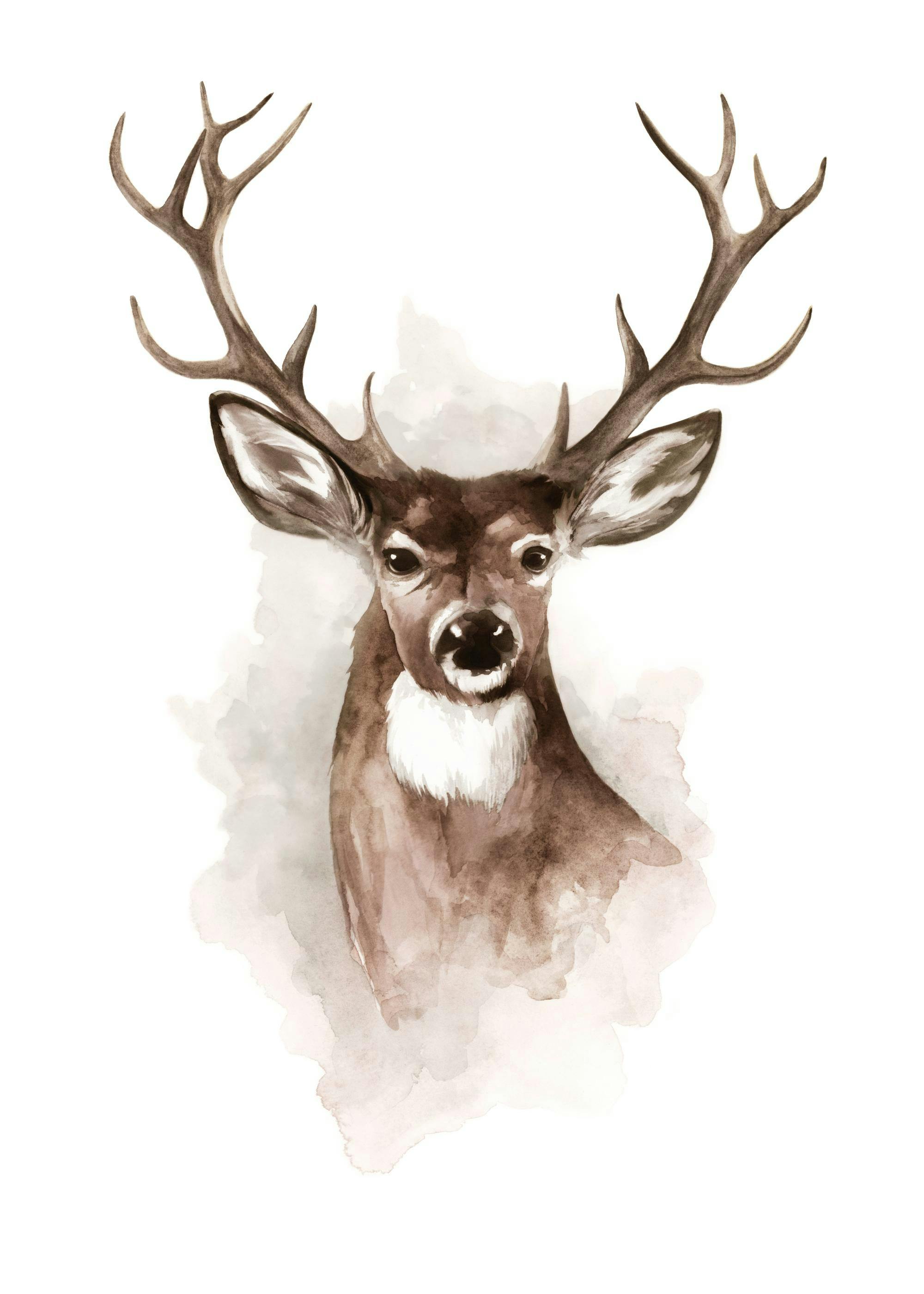 A poster featuring a watercolor painting of a majestic brown deer head with antlers on a white background.