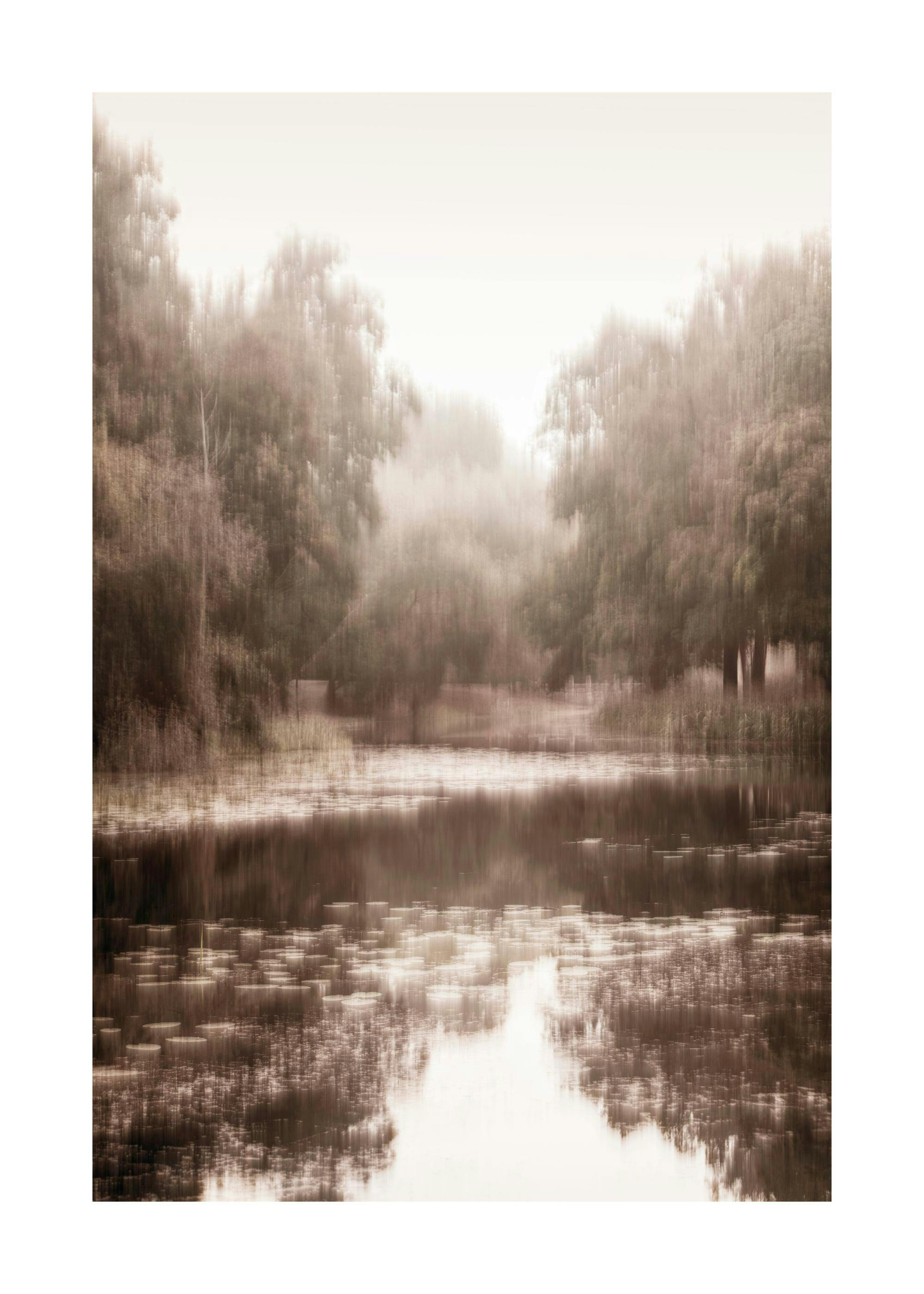Un poster di un paesaggio acquatico dai toni seppia, con alberi sfocati che si riflettono sullacqua e ninfee luminose.