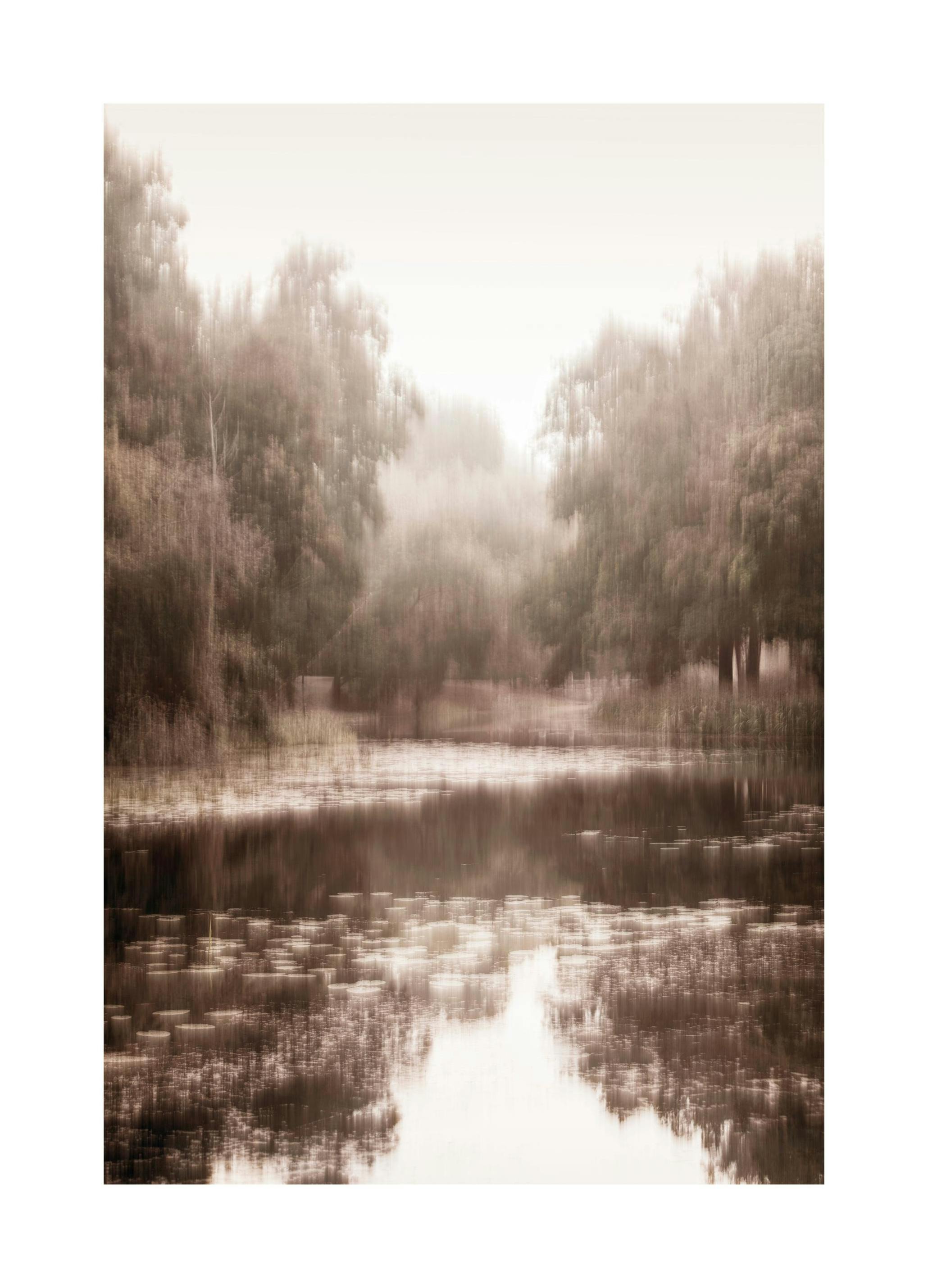 Reflejo del Bosque Nublado Póster (30x40 cm) - Poster Store